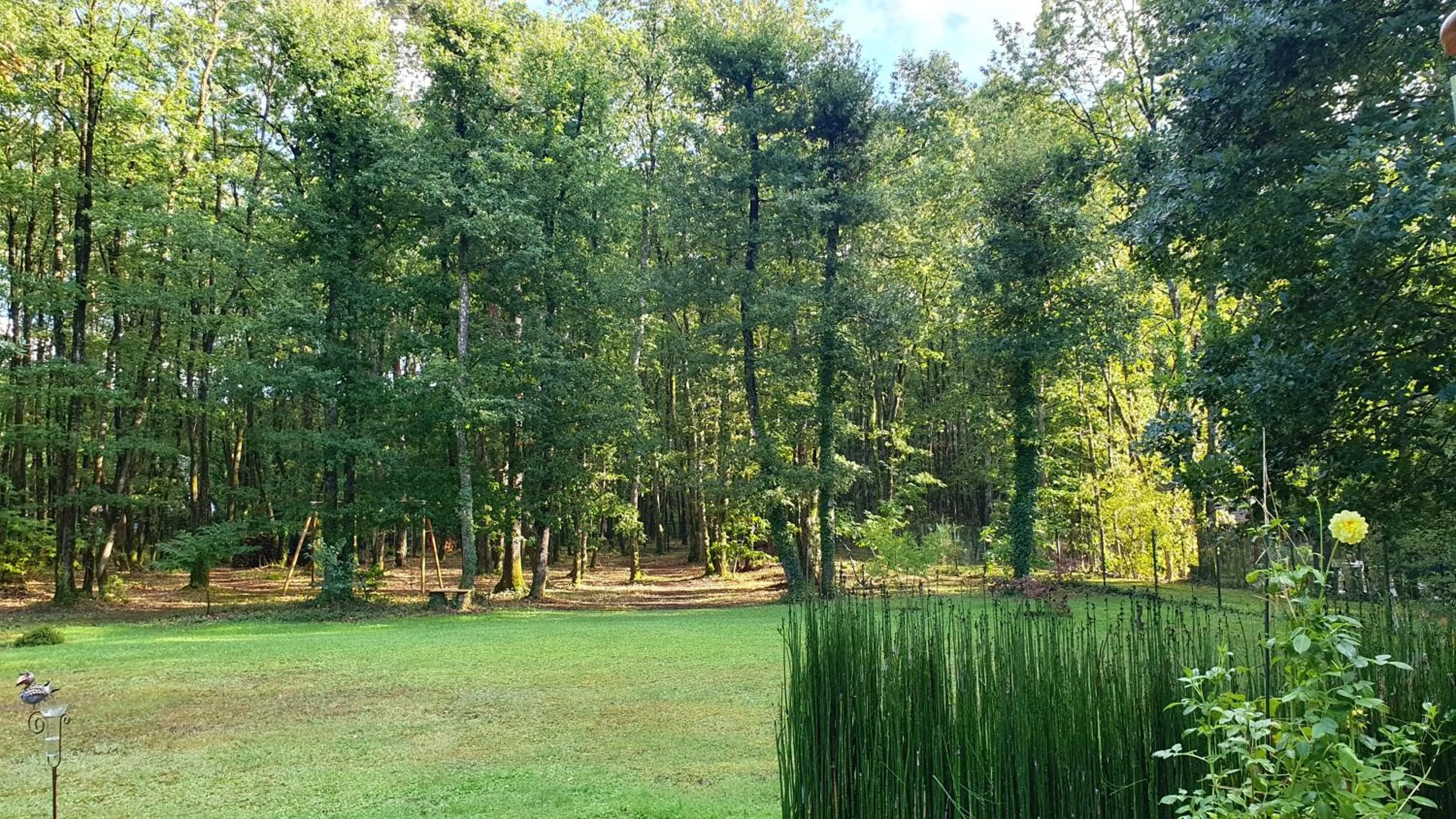 Spring in Logis Saponine Chambres d'Hôtes au calme en Touraine
