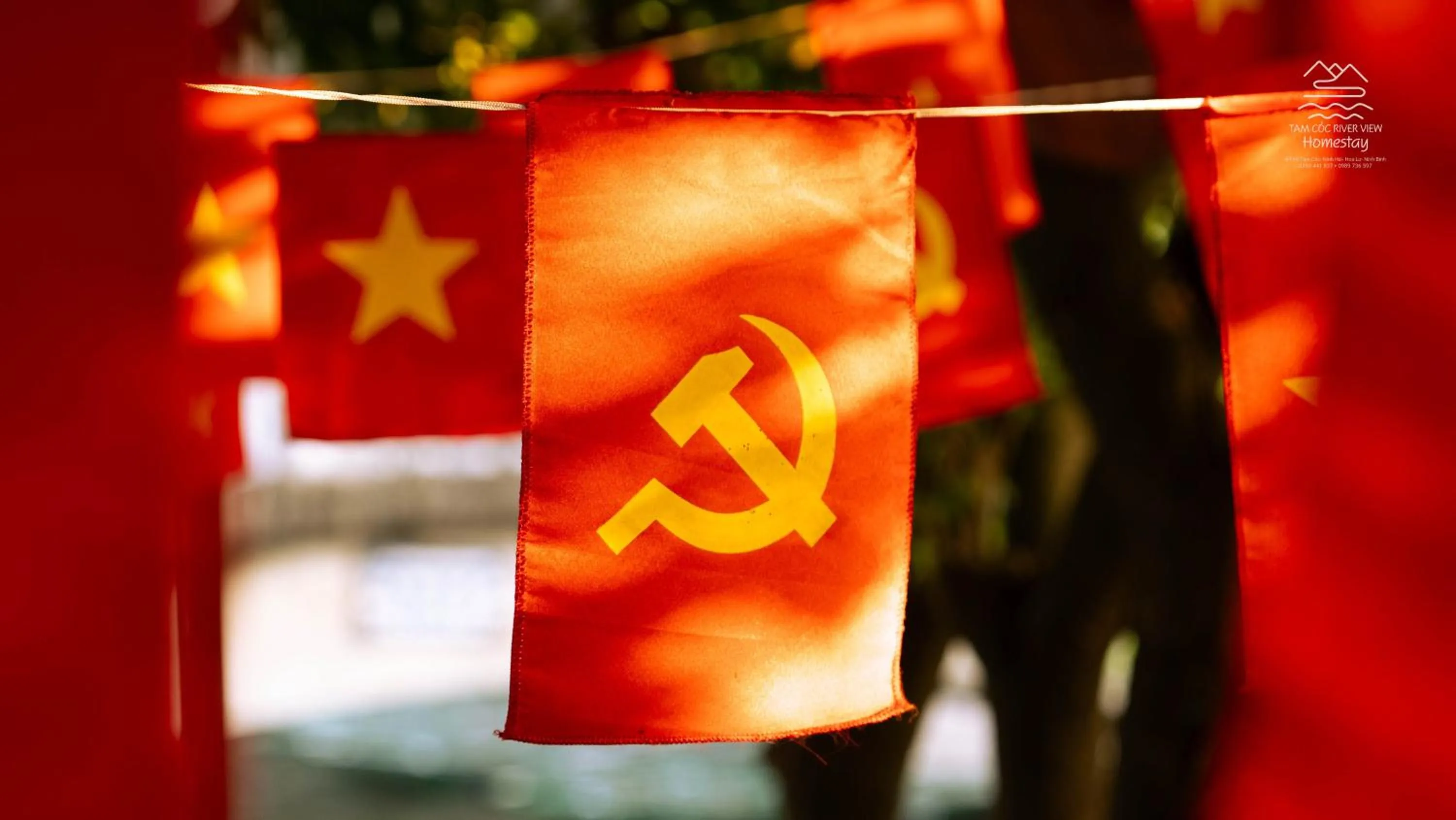 Tam Coc River View Homestay