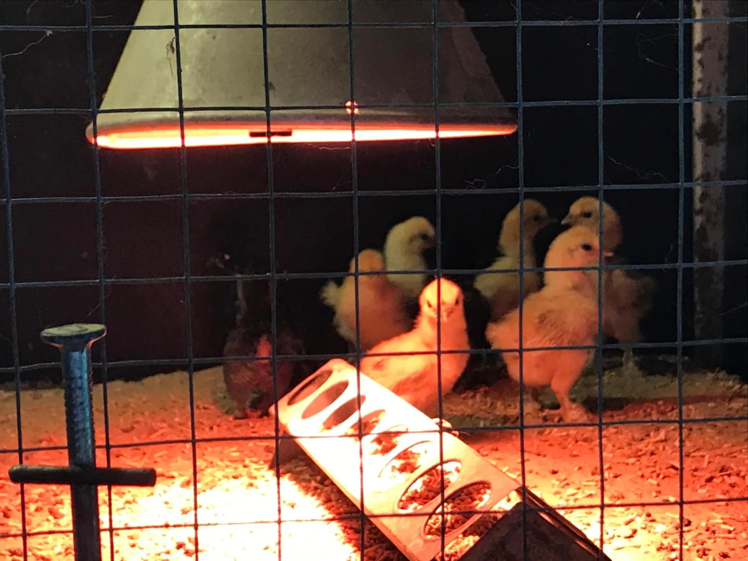 Familiehuis Boysen Appartementen