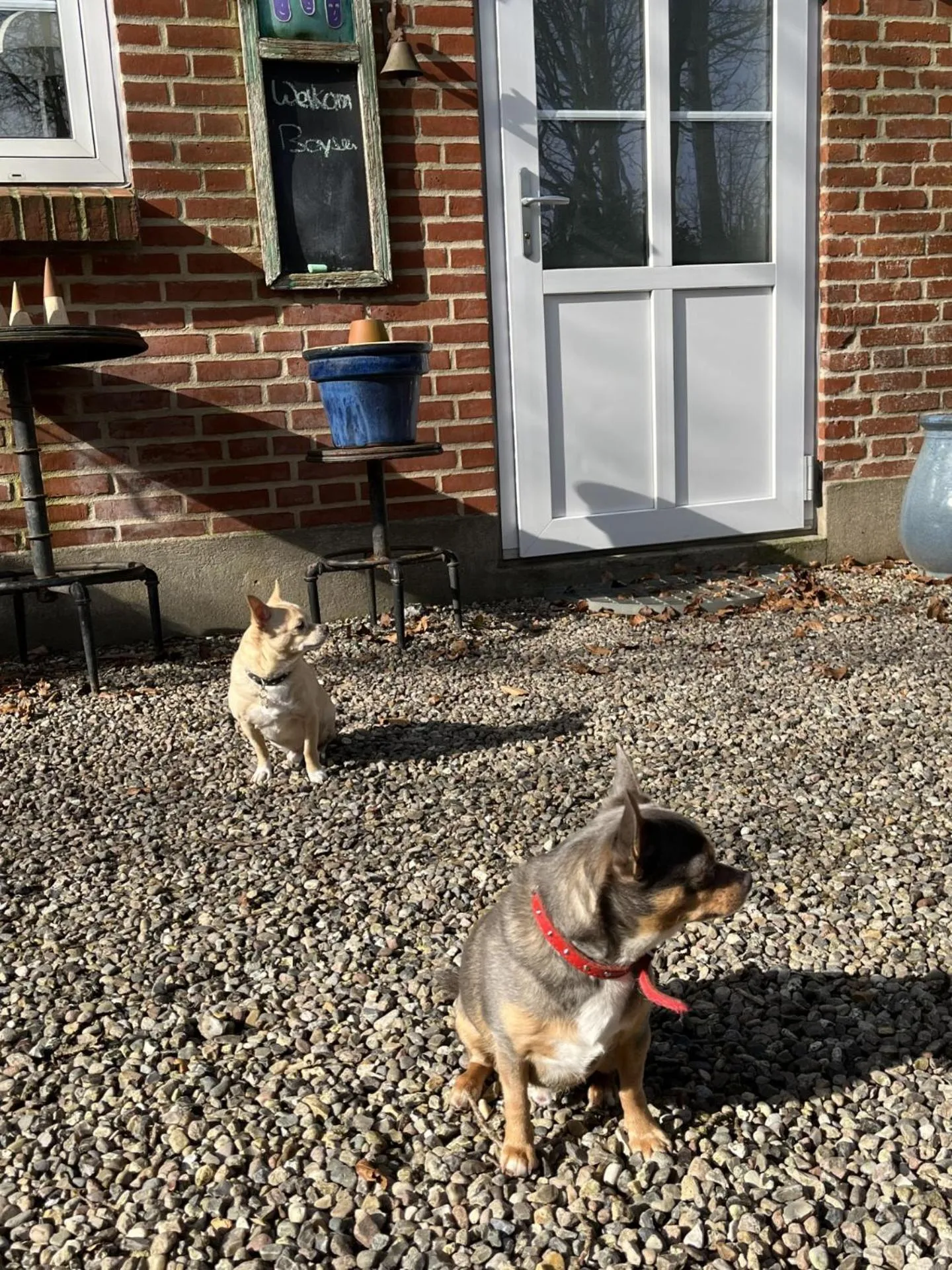 Familiehuis Boysen Appartementen