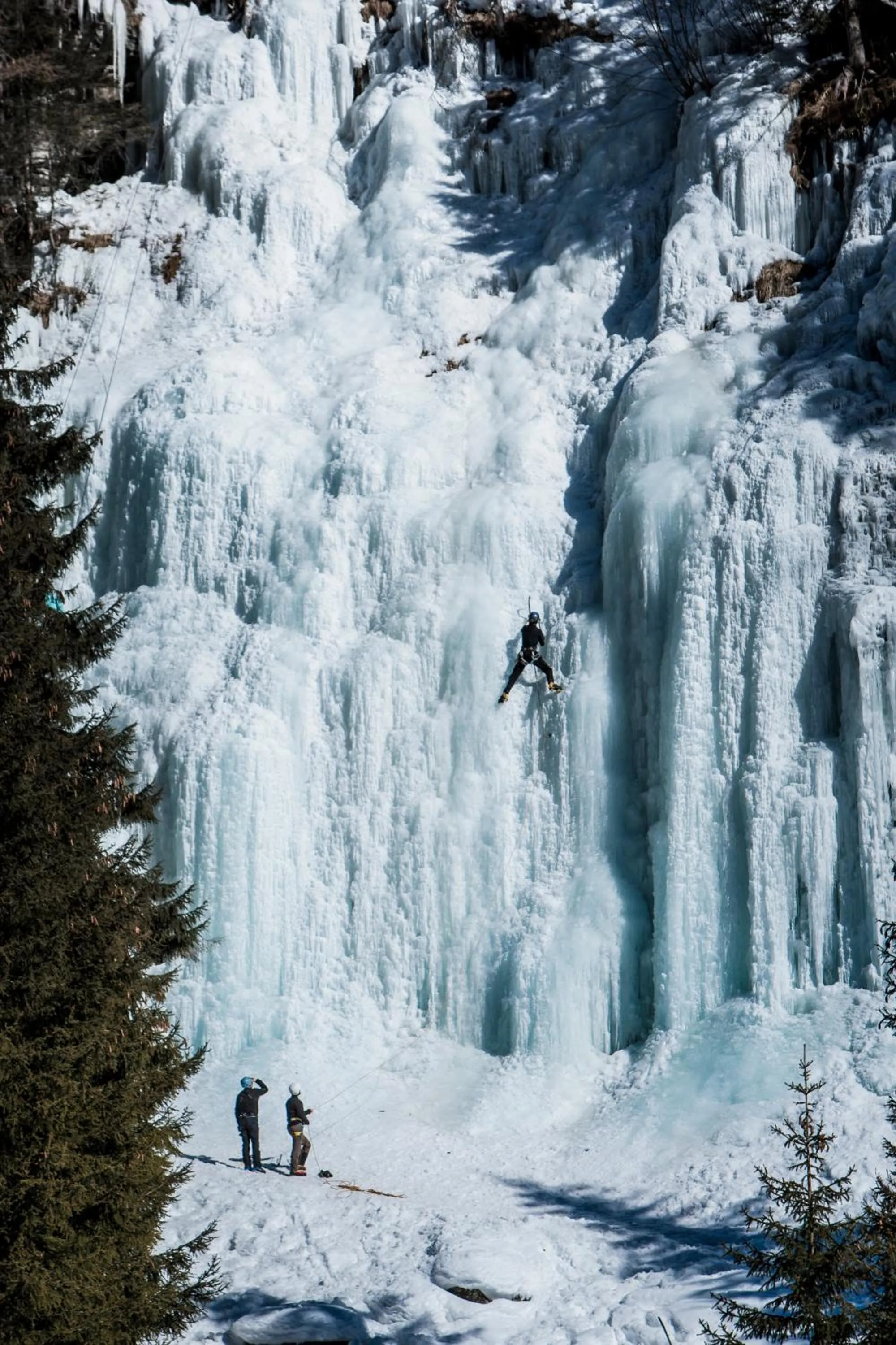 Natural landscape in Hotel Adler