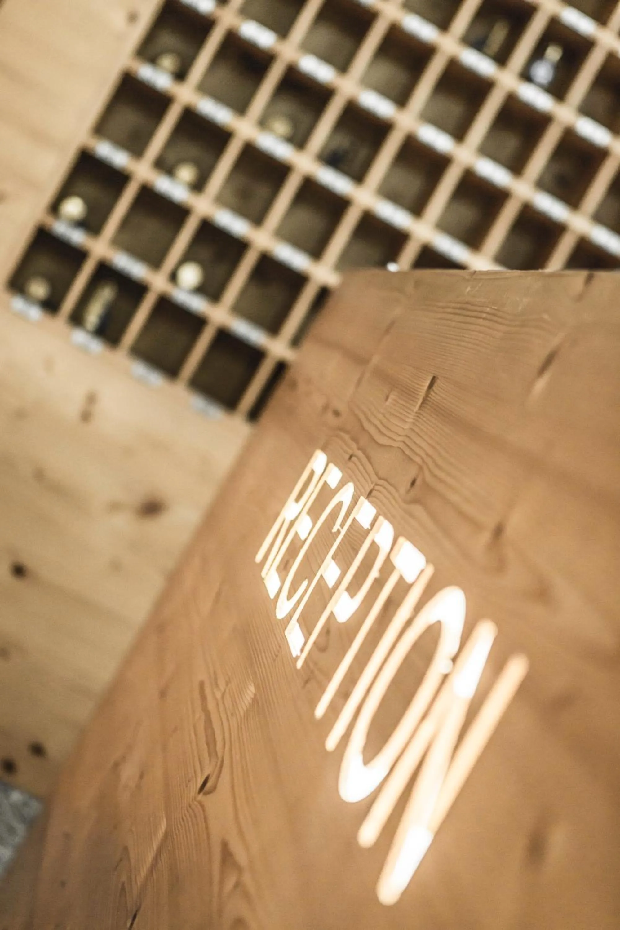 Area and facilities in Hotel Adler