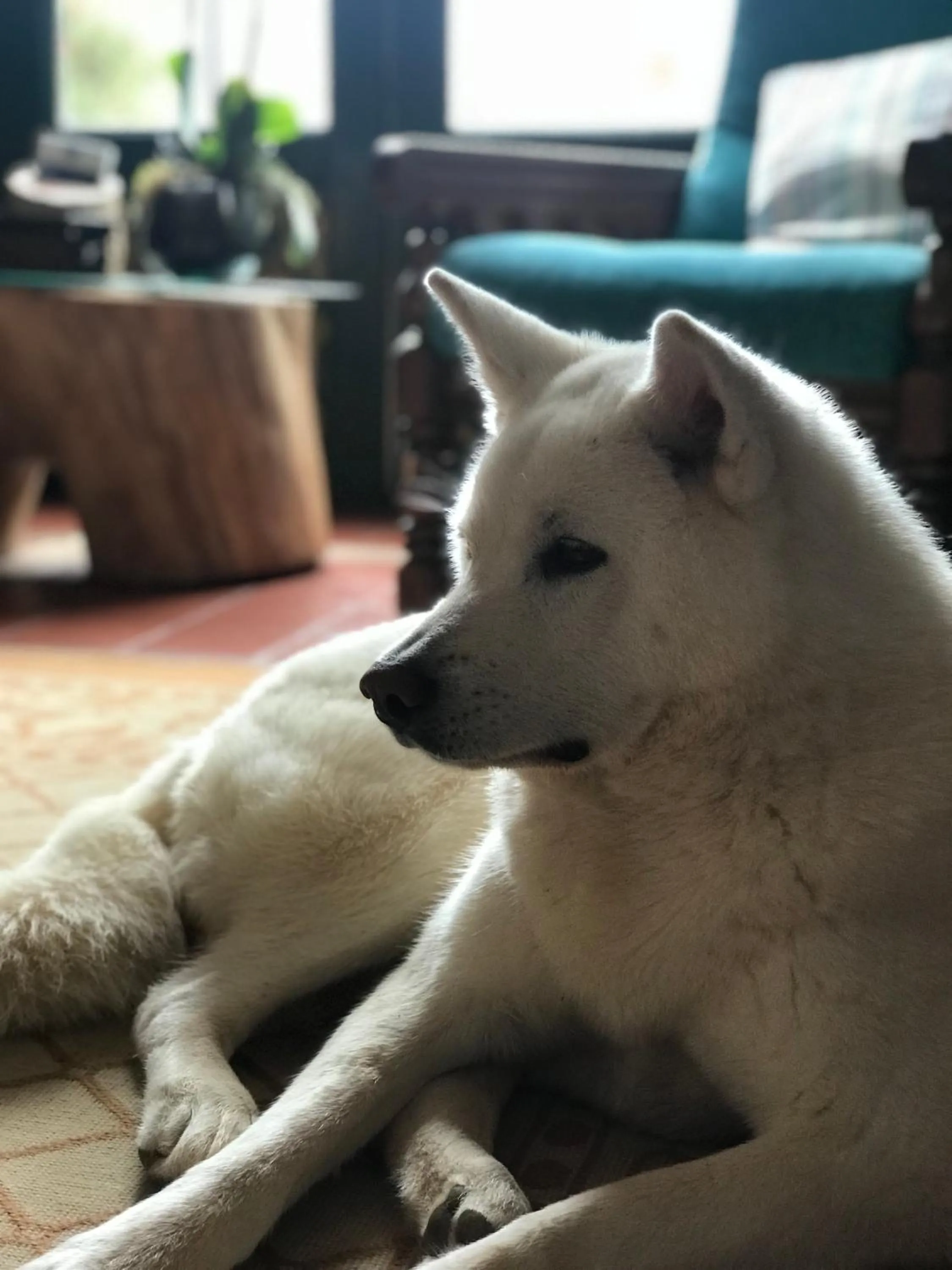 Communal lounge/ TV room in El Pueblito Hotel Boutique