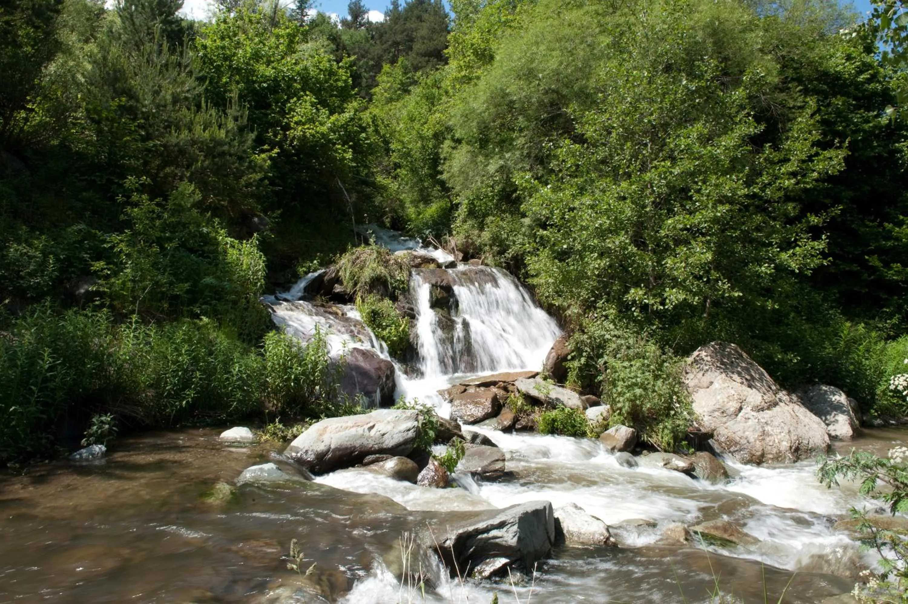 Area and facilities in Hotel Esquirol
