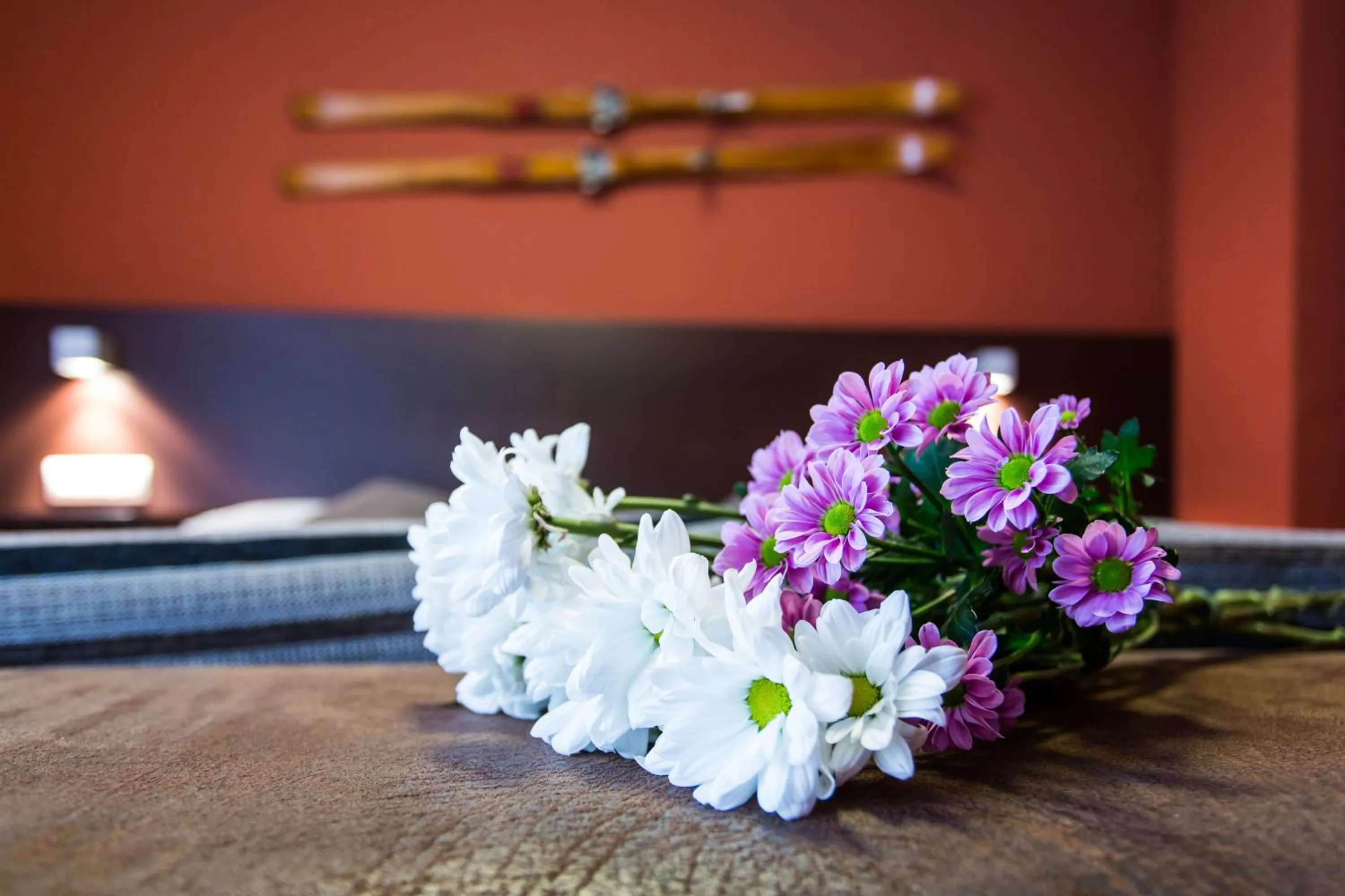 Other in Hotel Esquirol