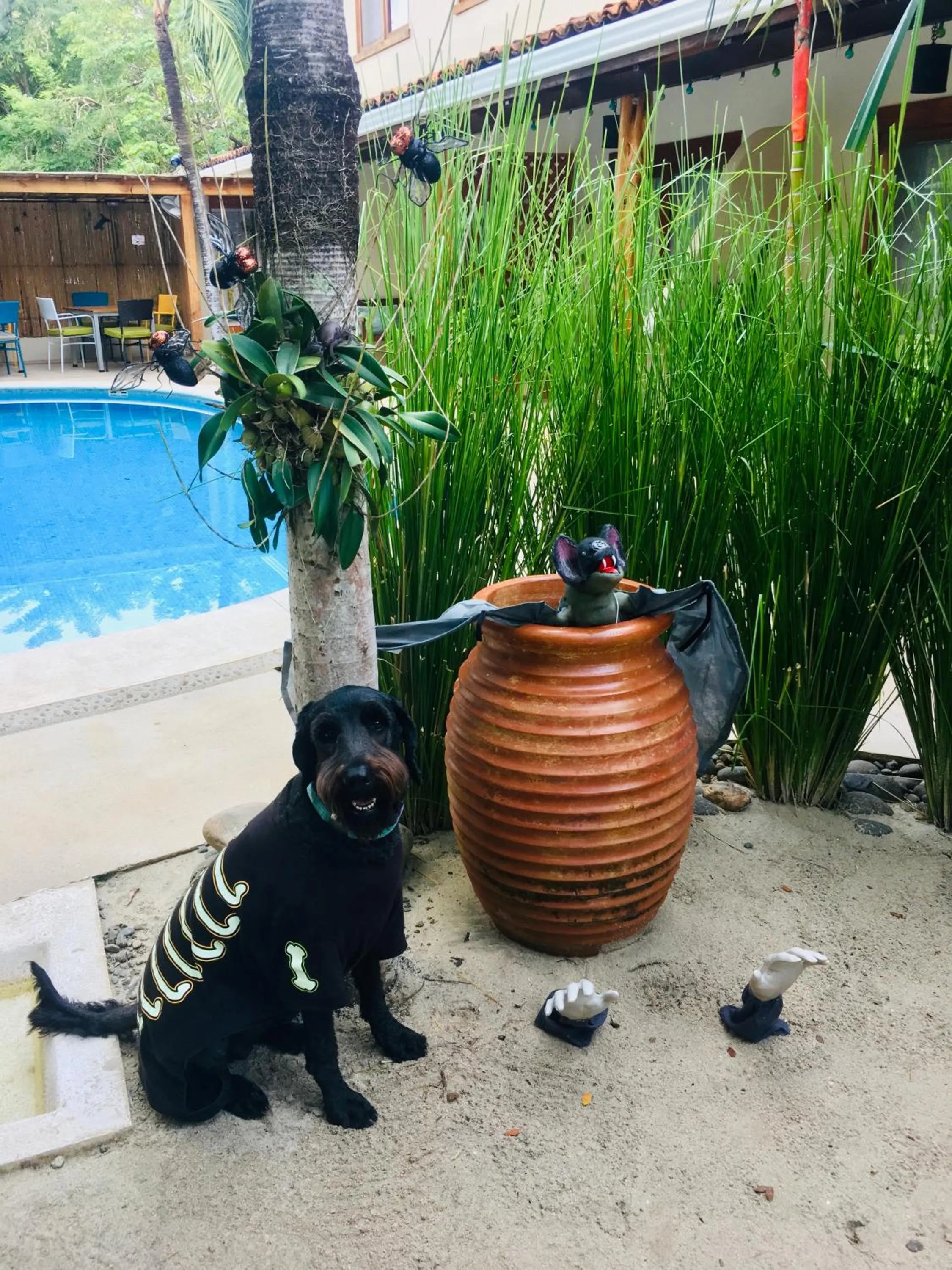 Decorative detail in Ten North Tamarindo Beach Hotel