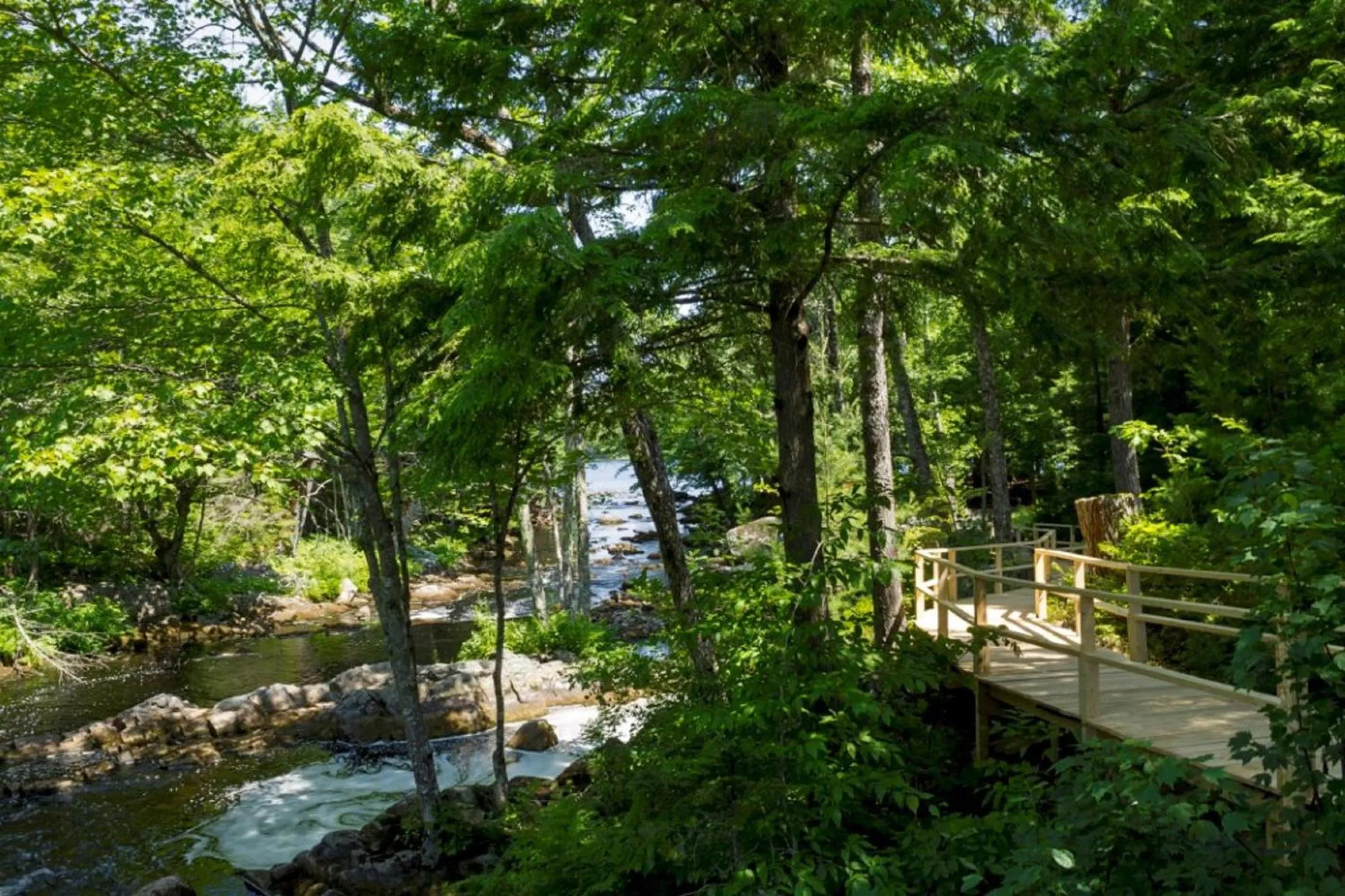Natural landscape in Mersey River Chalets a nature retreat