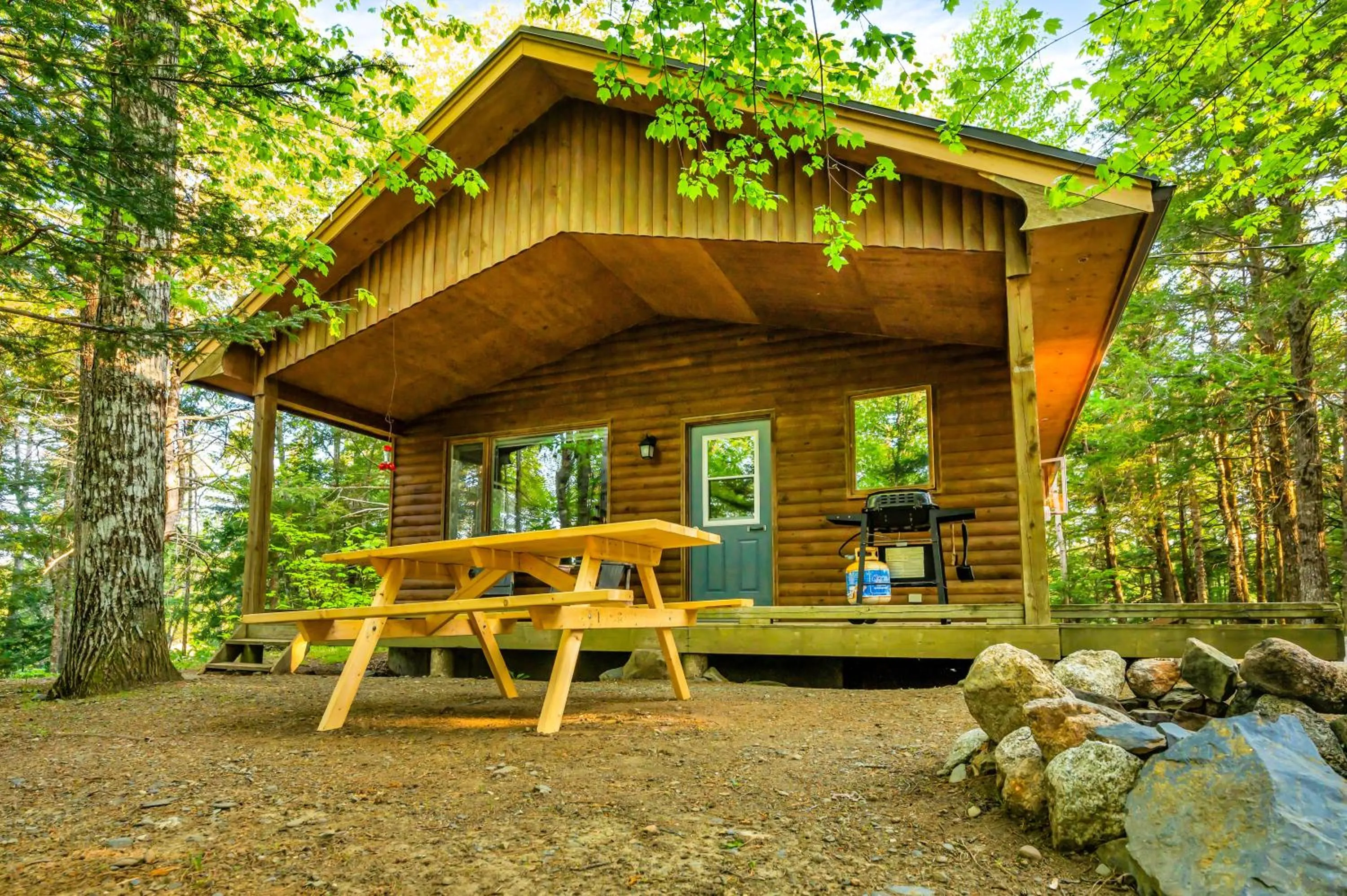 Natural landscape in Mersey River Chalets a nature retreat