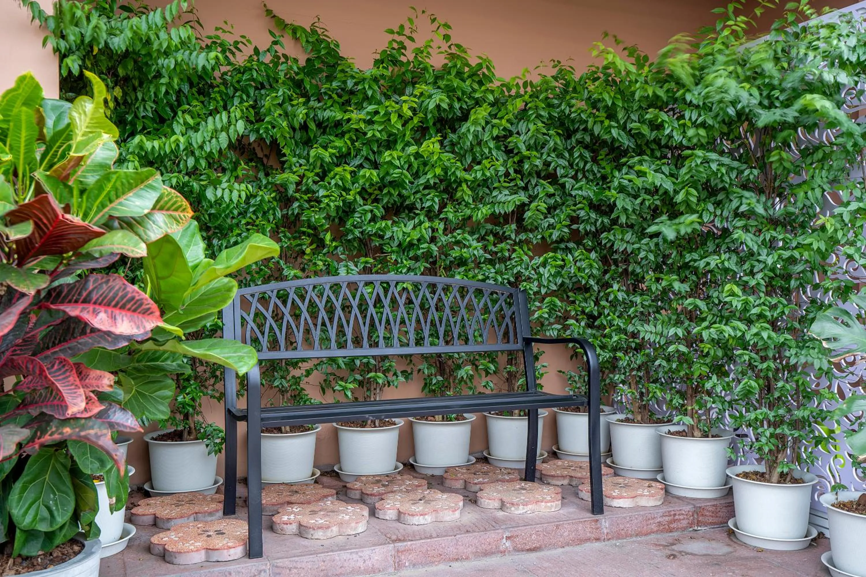 Garden in Bangkok Loft Inn