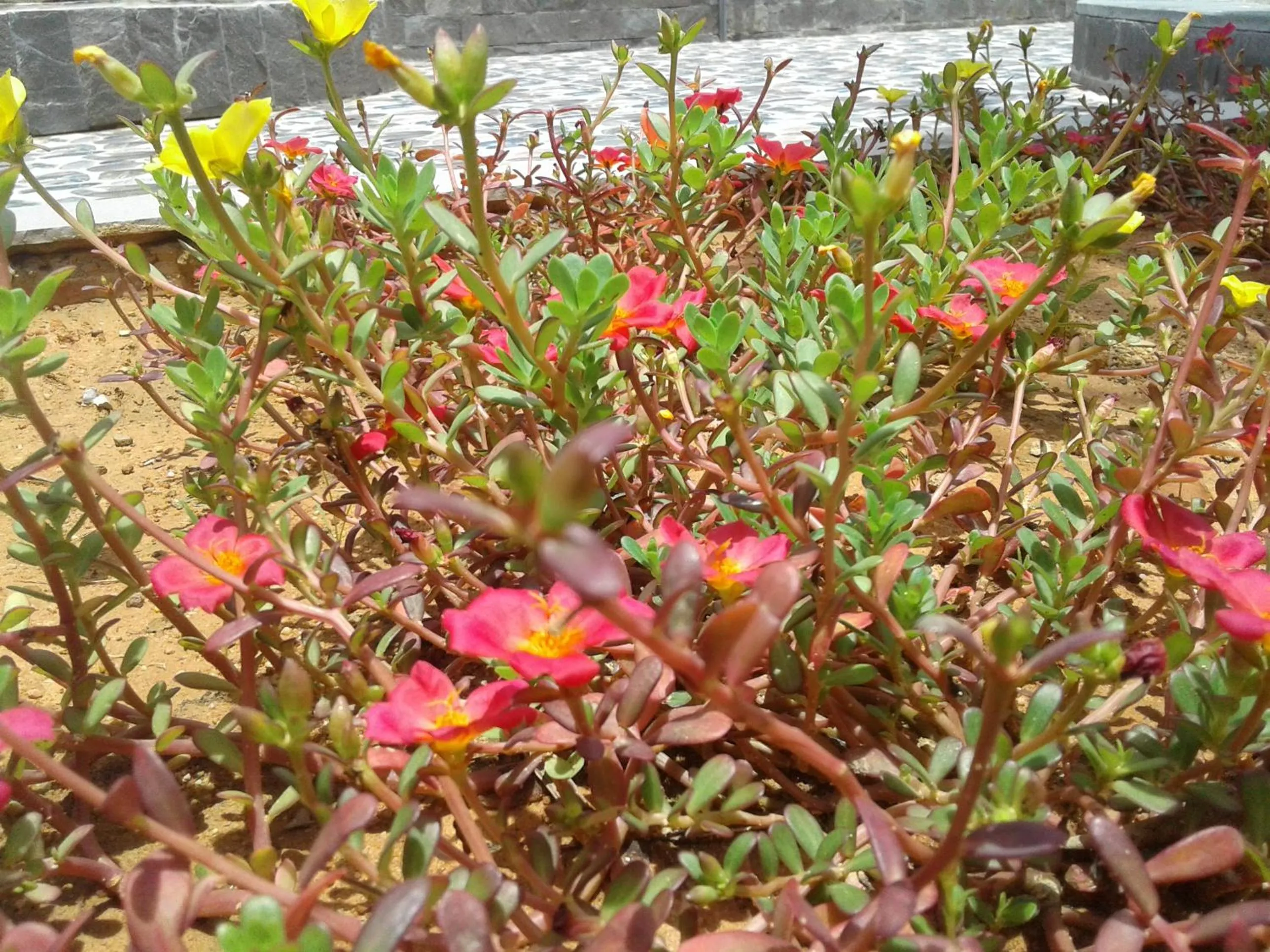 Property building in Nhat Huy Bungalow Phu Quoc