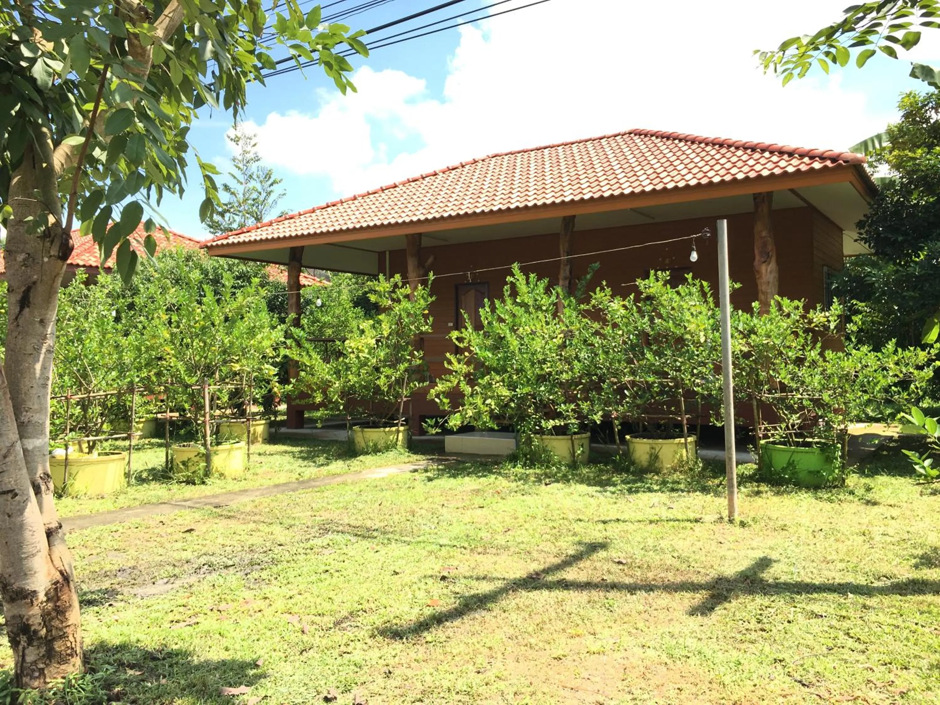 Property building in Baan Suan Kru Kob