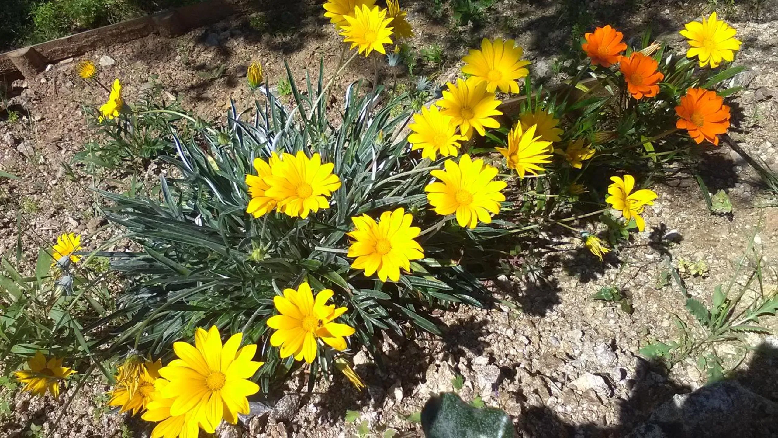 Garden view in Villa La Croisette