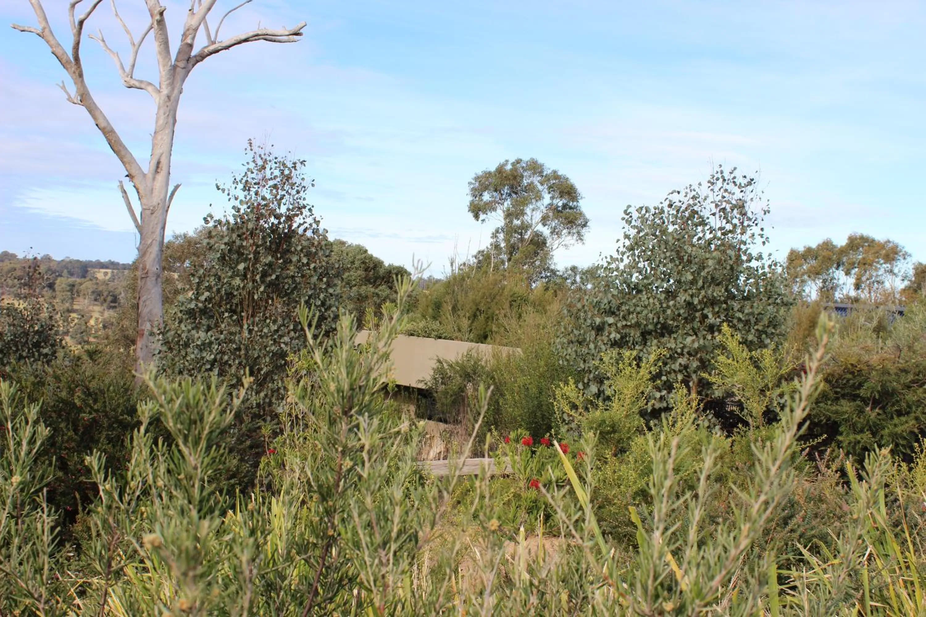 Restaurant/places to eat in Down to Earth Farm Retreat