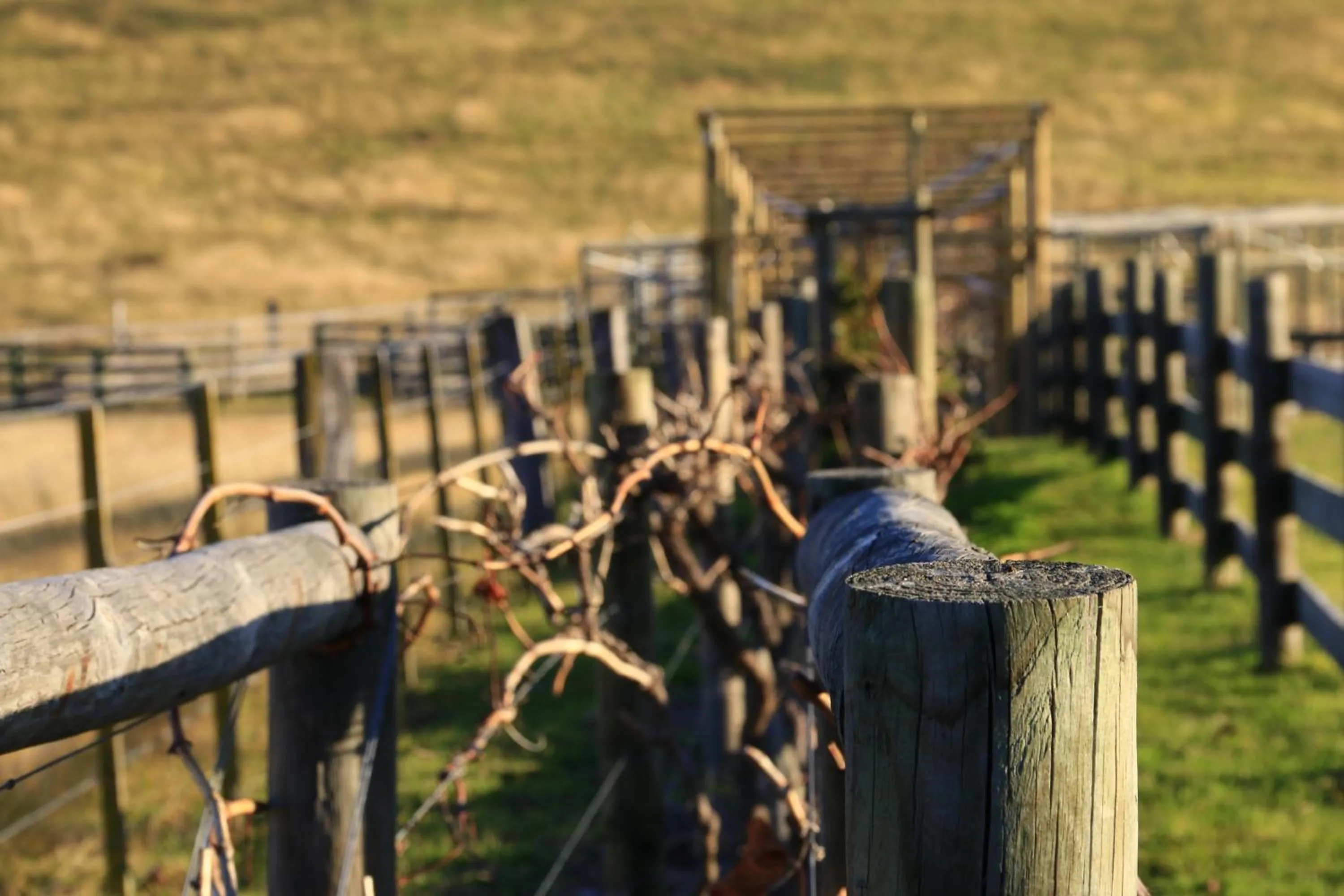 Natural landscape in Down to Earth Farm Retreat
