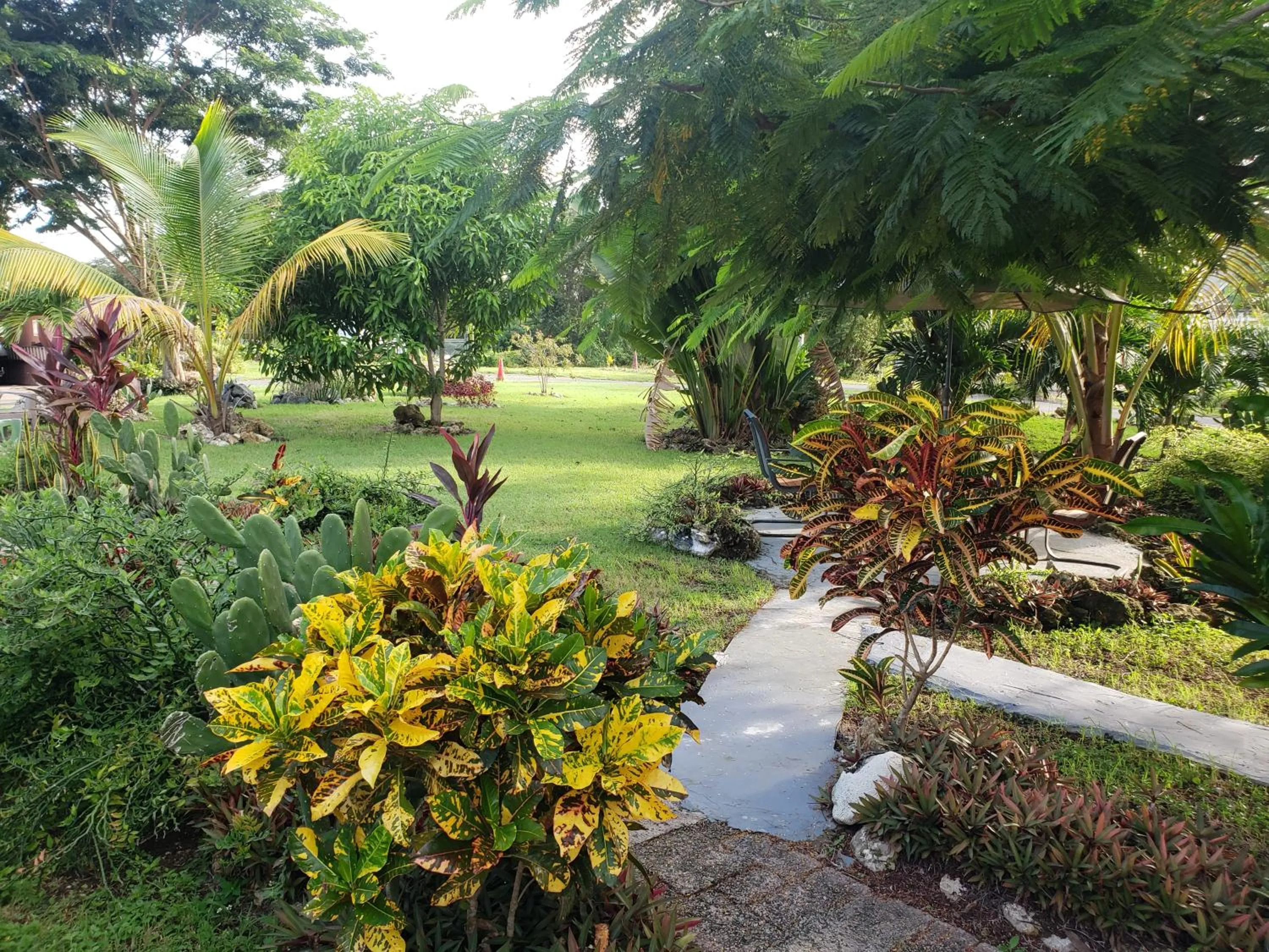 Natural landscape in Carolina Point Resort
