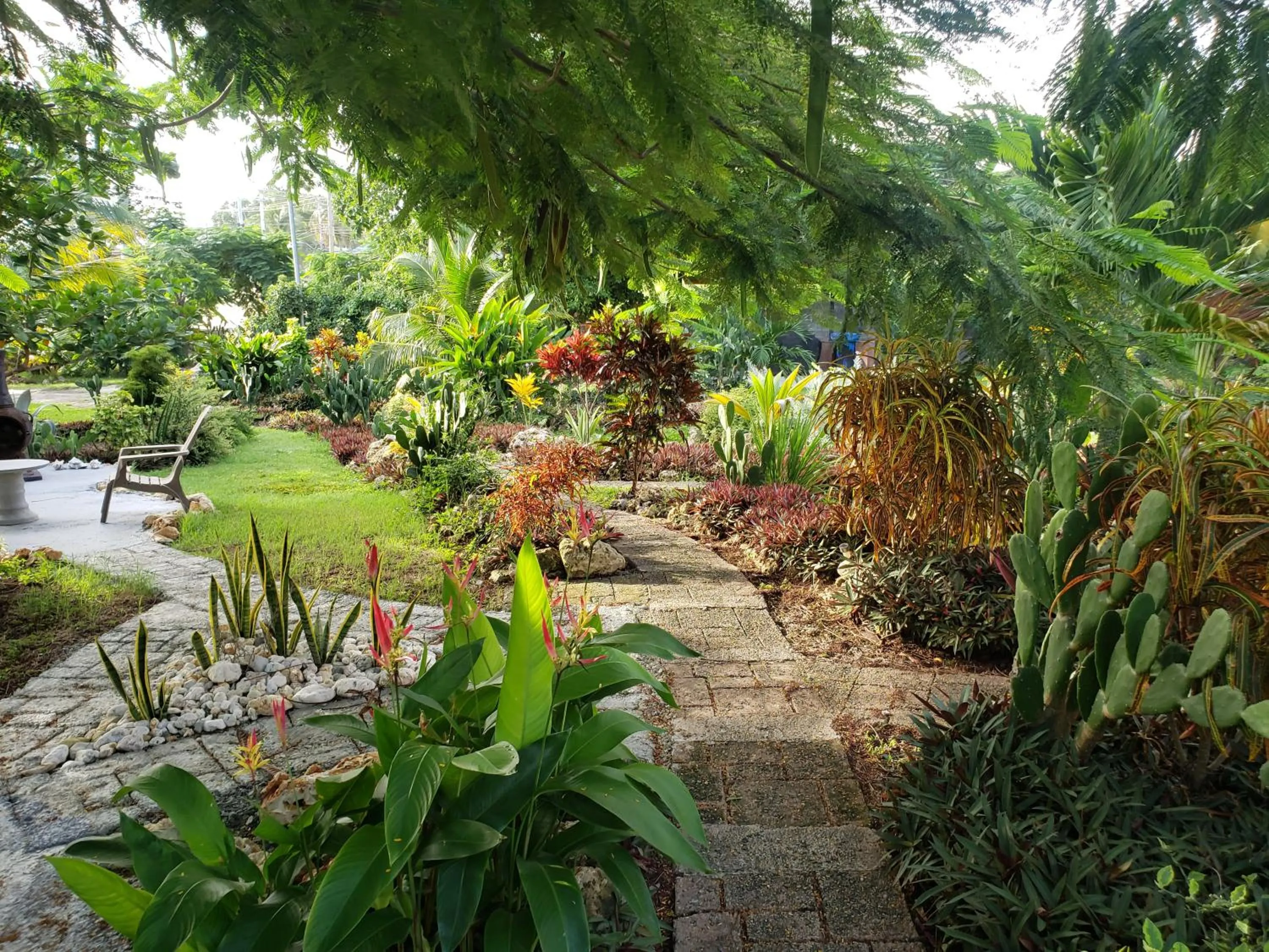 Natural landscape in Carolina Point Resort