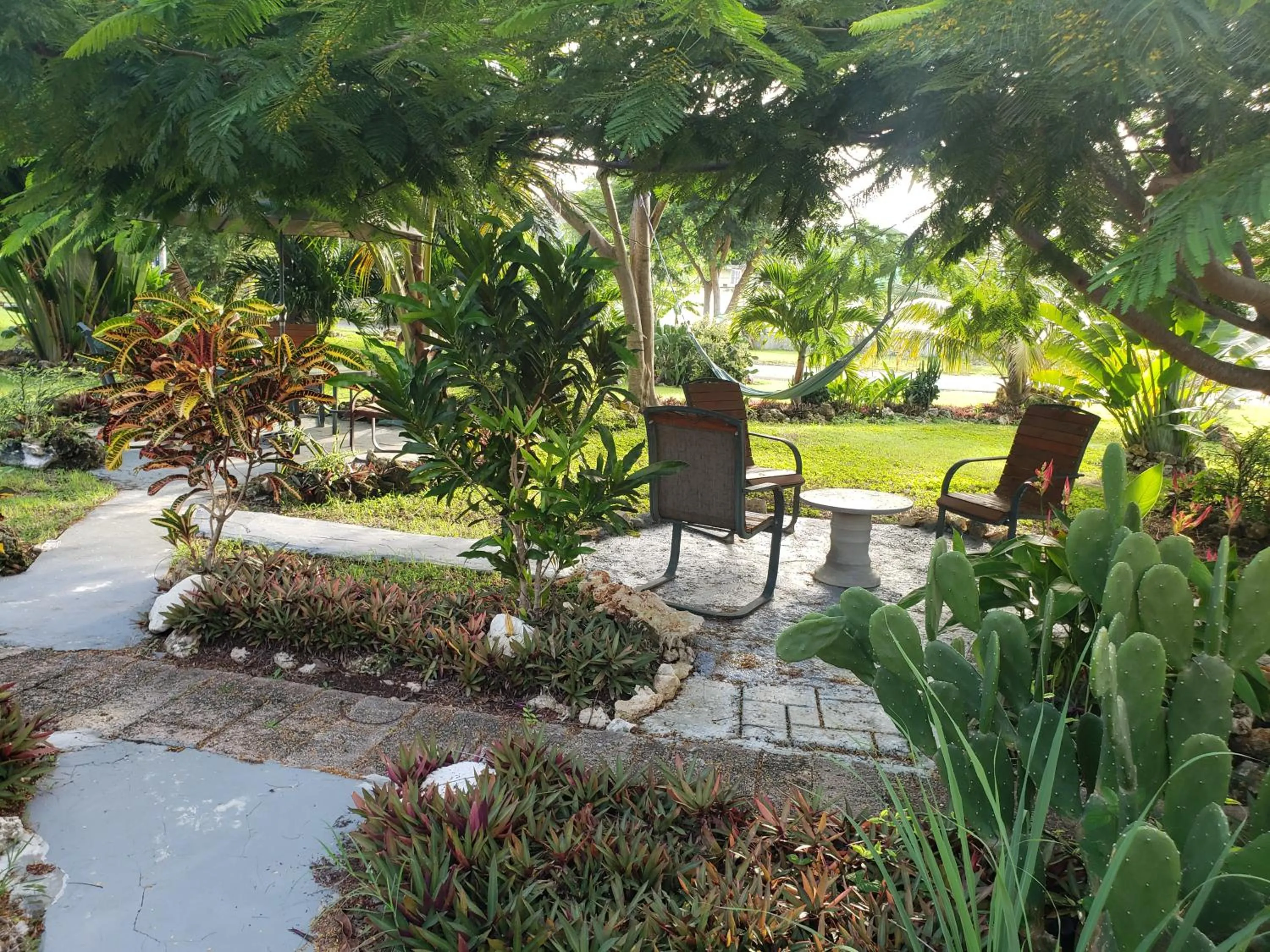 Natural landscape in Carolina Point Resort