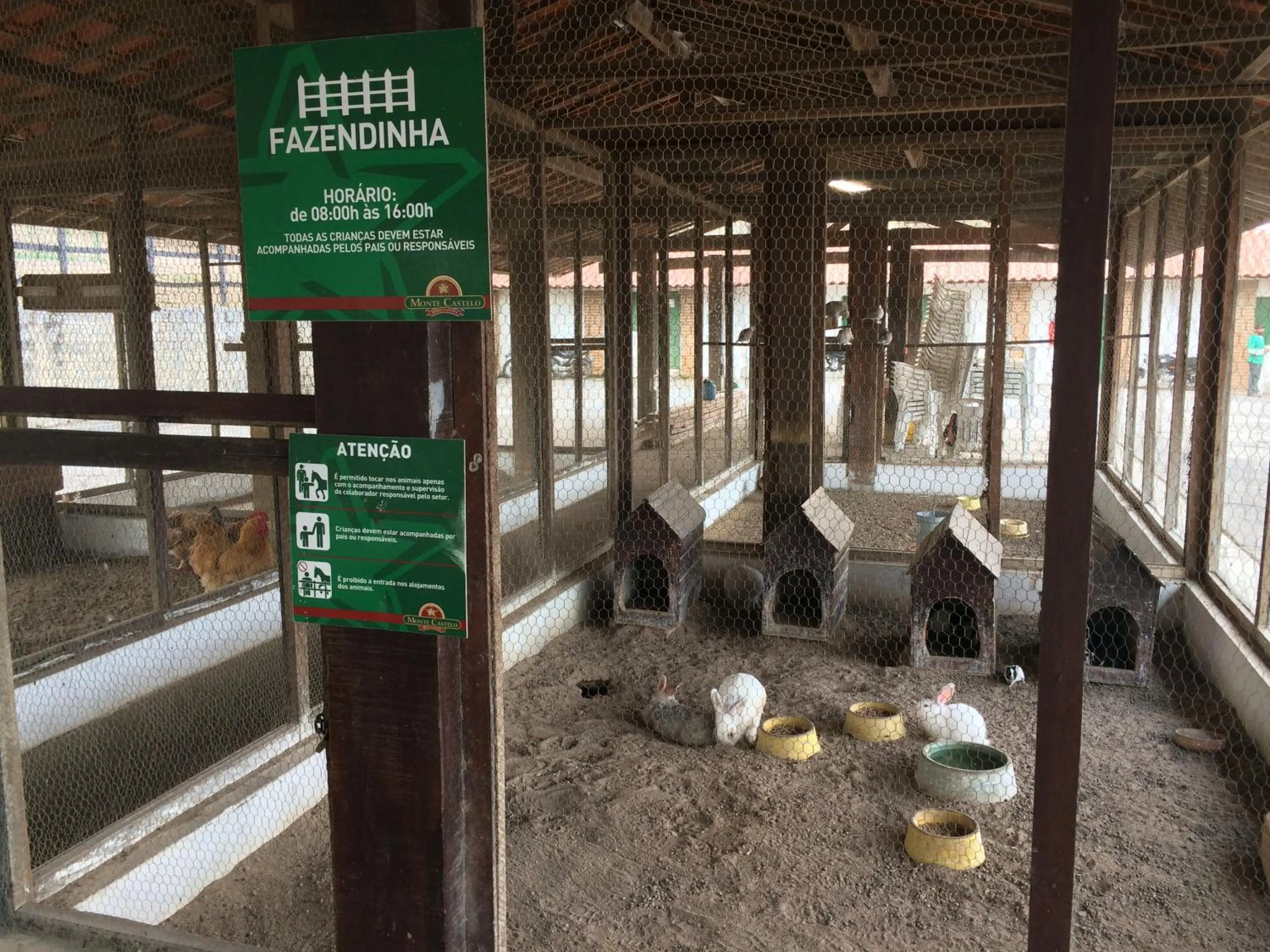 Animals in Monte Castelo Gravatá - Flat