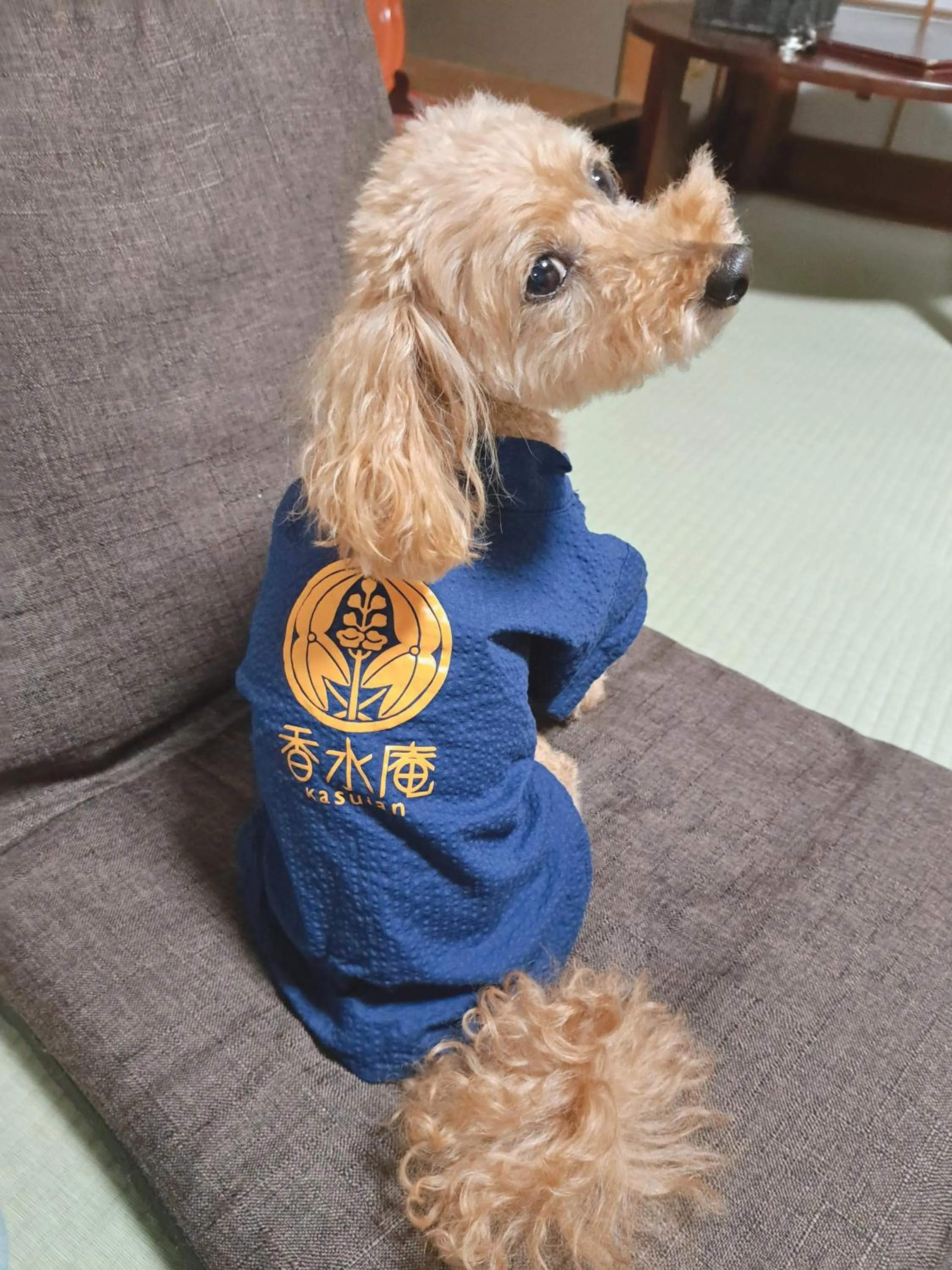 pet friendly in Kasuian