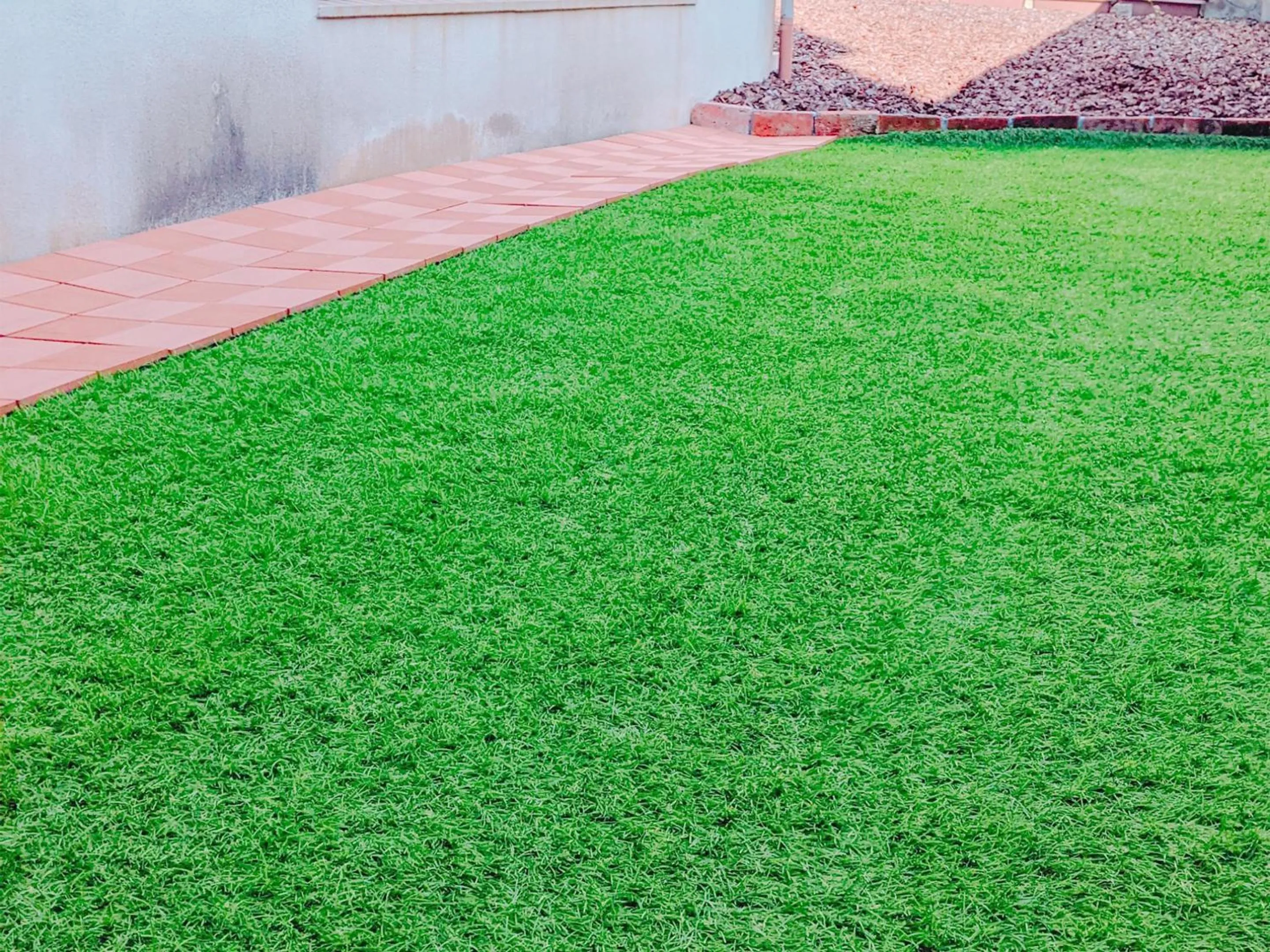 Area and facilities in Kasuian