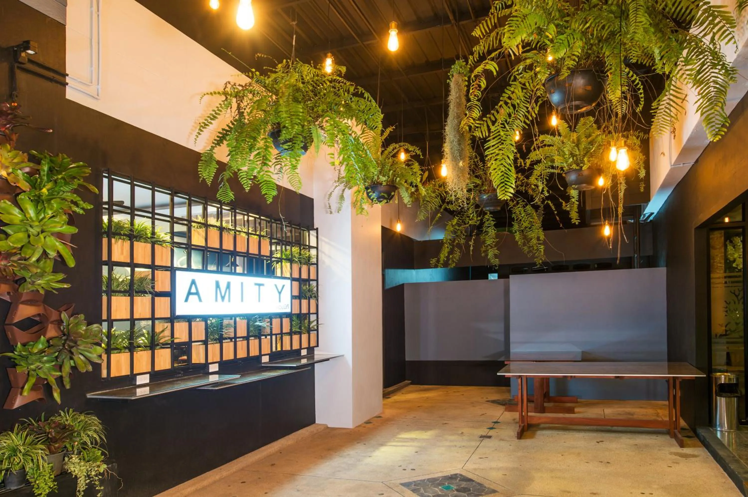 Night in Amity Poshtel