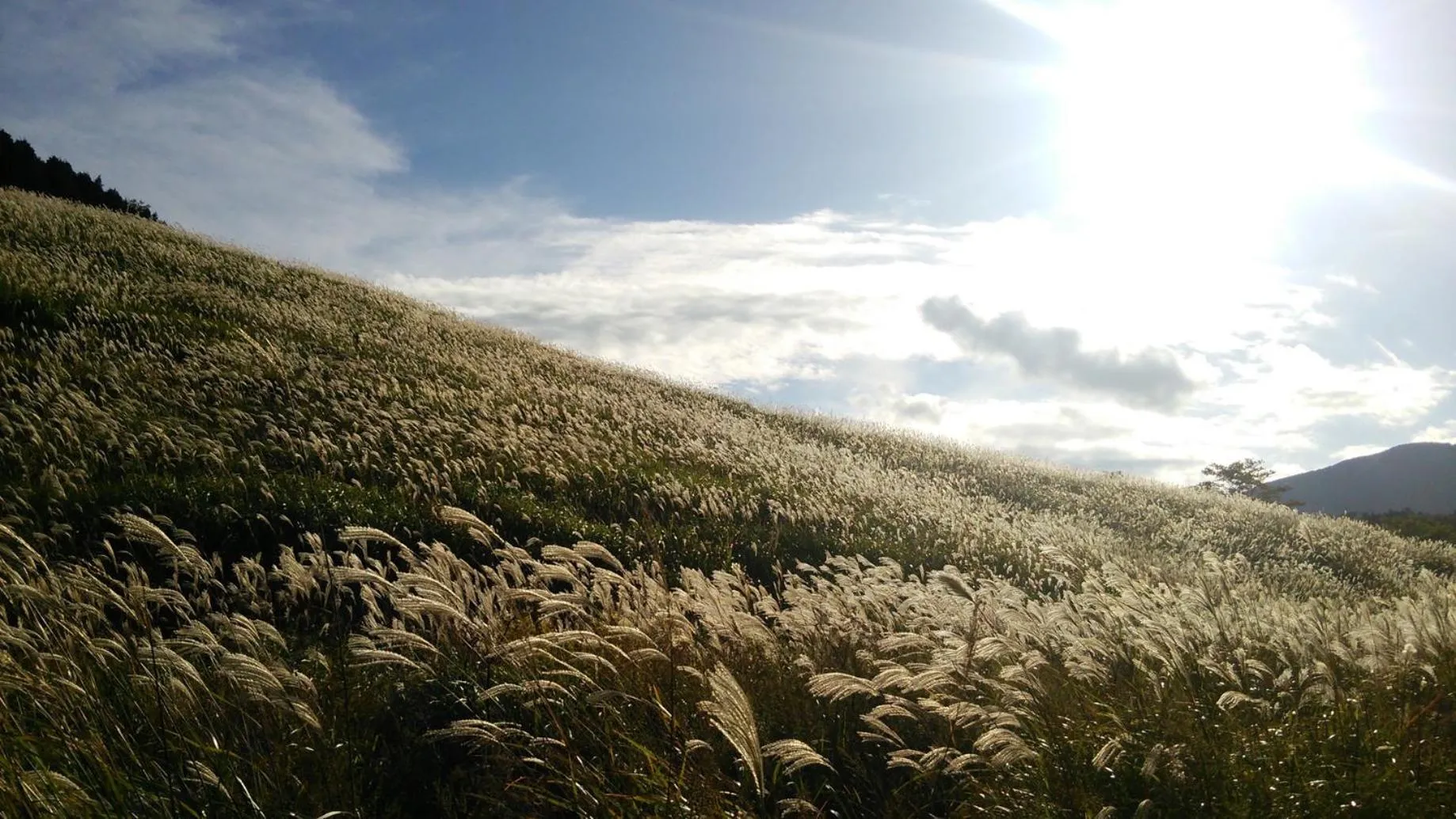 Other in Yutorelo-an ANNEX