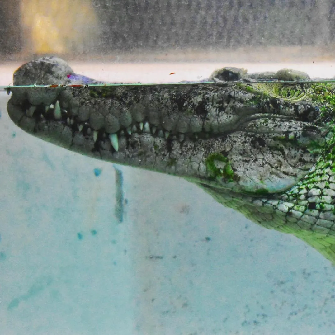 Nearby landmark in Izu atagawa Yubana mankai -Adult Only-