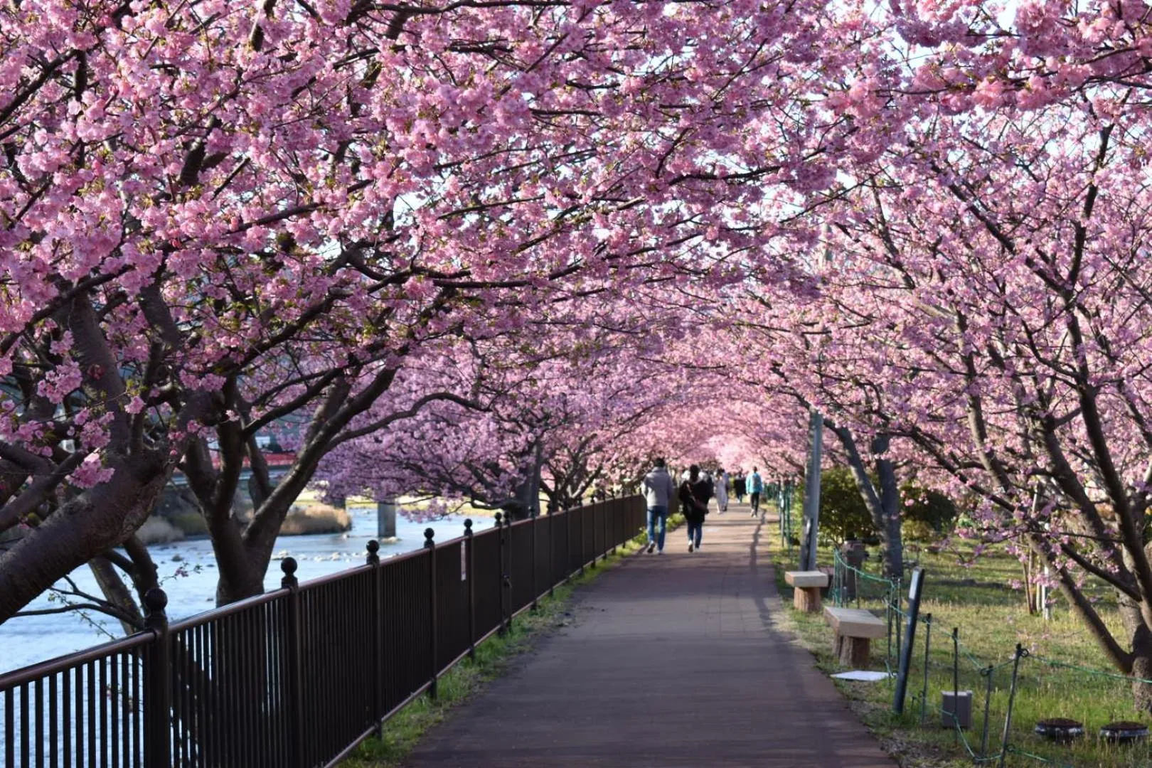 Nearby landmark in Izu atagawa Yubana mankai -Adult Only-