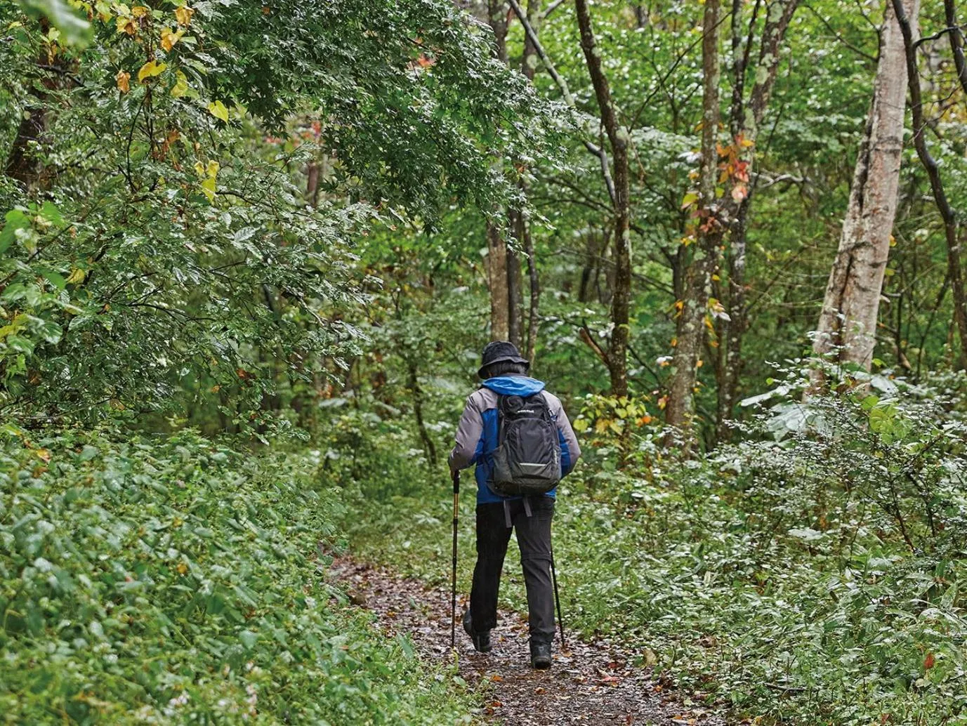 Tengu Onsen Asama Sanso