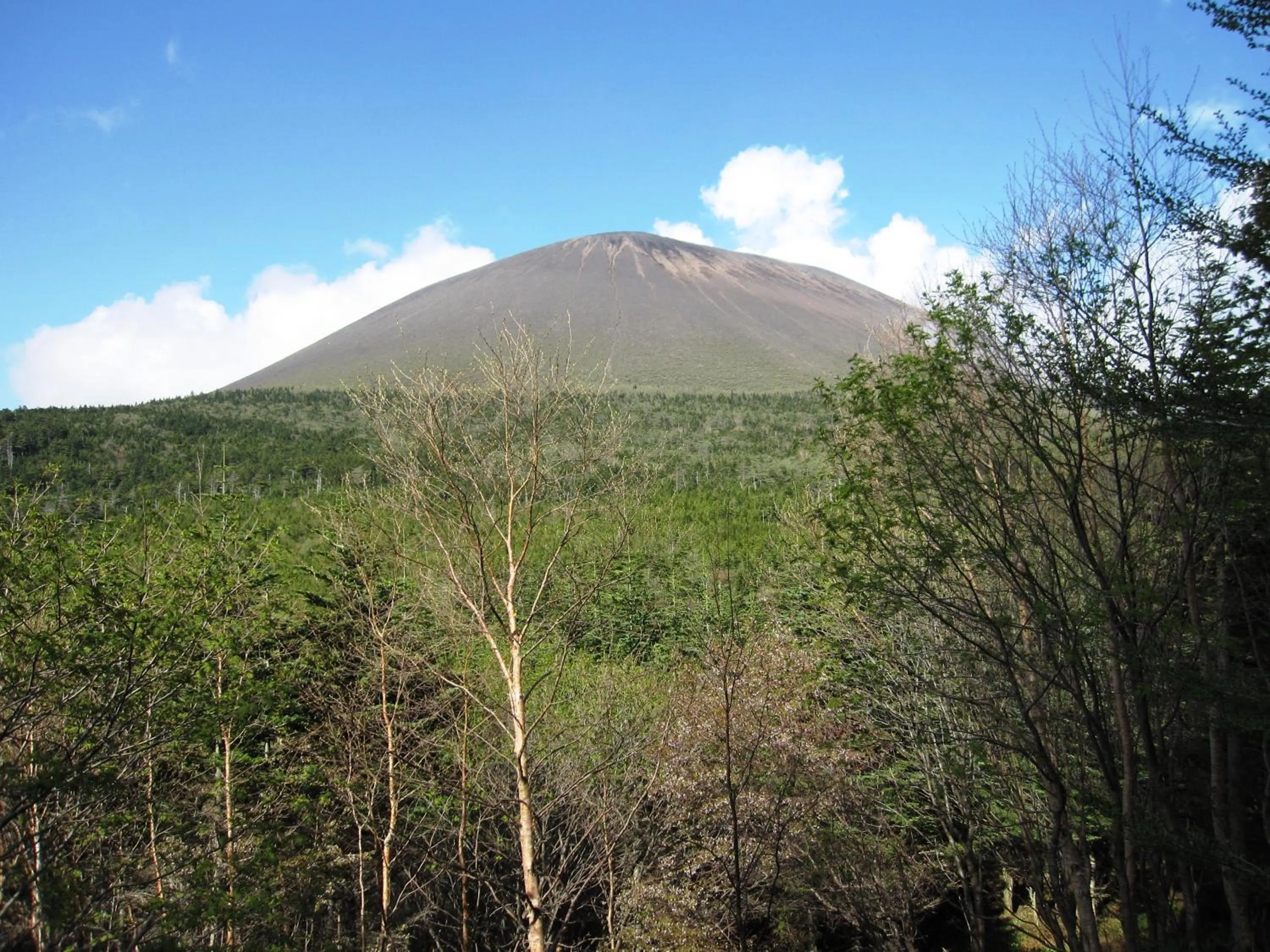 Off site in Tengu Onsen Asama Sanso
