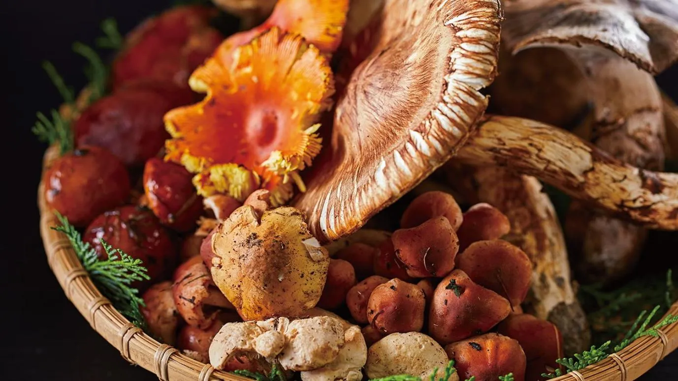 Activities in Tengu Onsen Asama Sanso