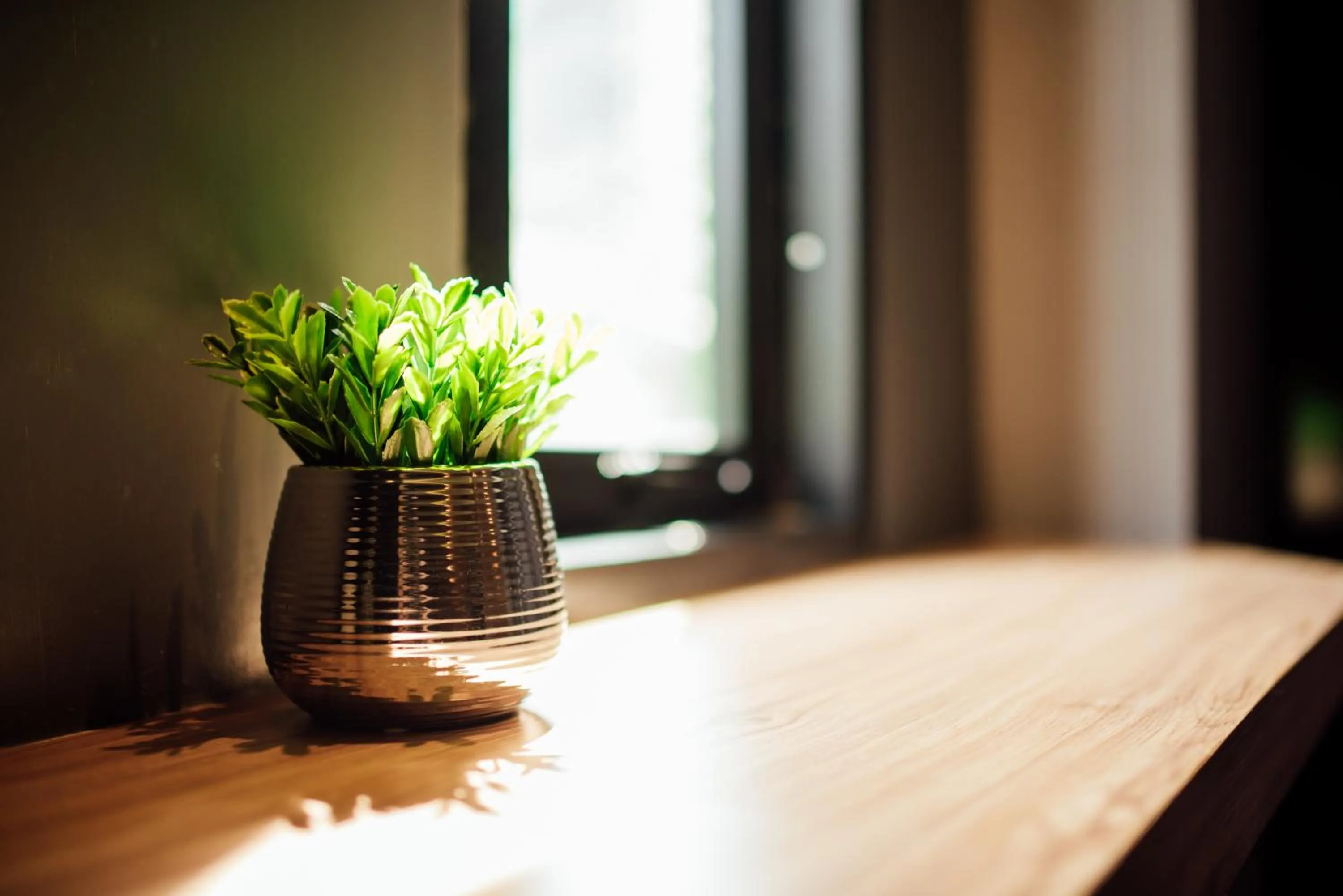Decorative detail in Le Terrarium Bed & Sleep Chiang Rai