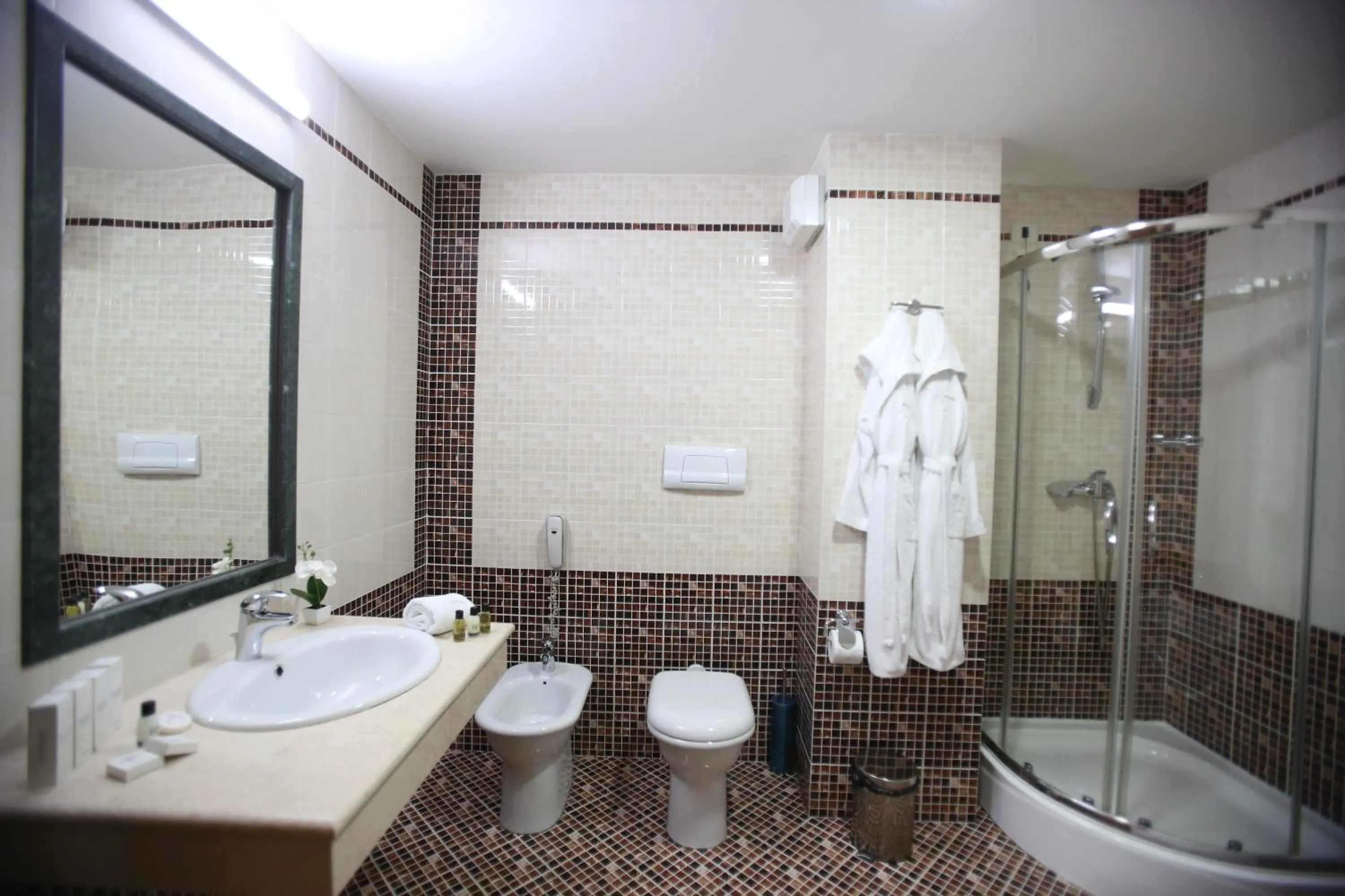 Bathroom in Hotel Continental