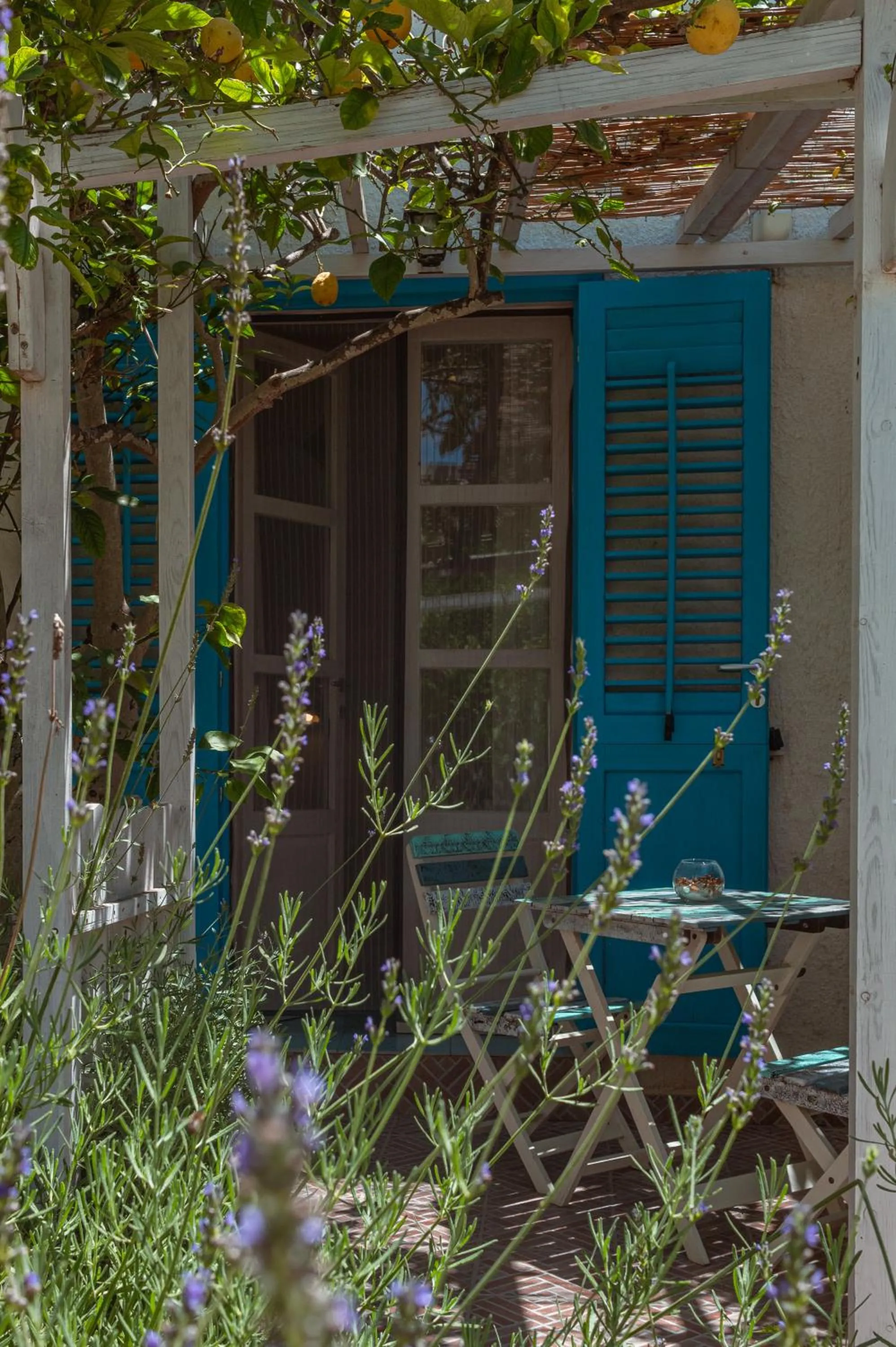Patio in La Casa del Limoneto
