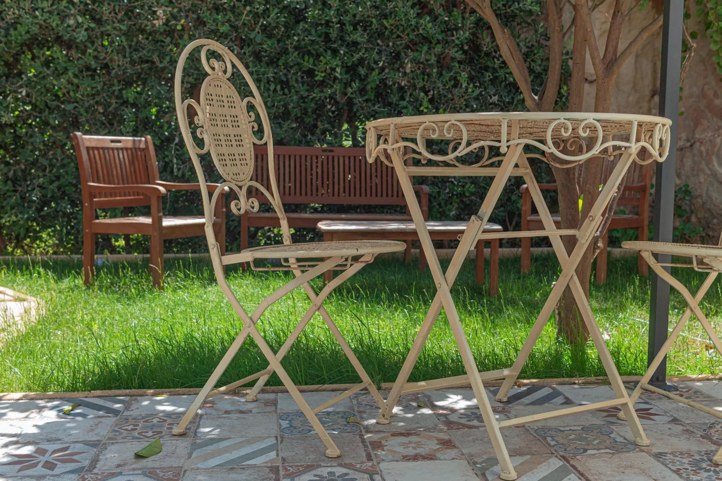 Garden in La Casa del Limoneto