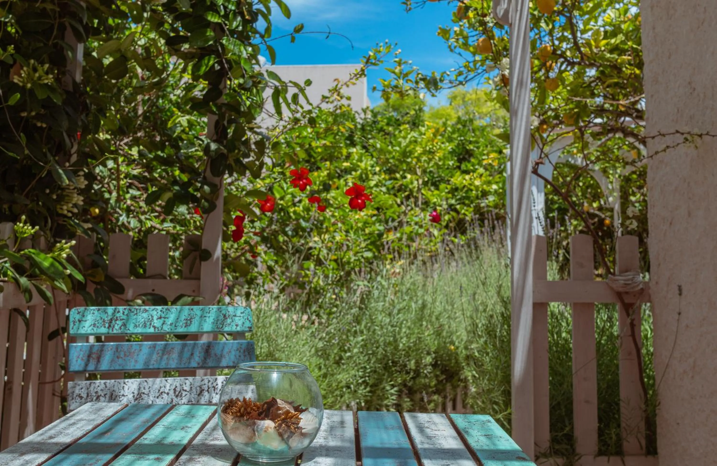 Patio in La Casa del Limoneto
