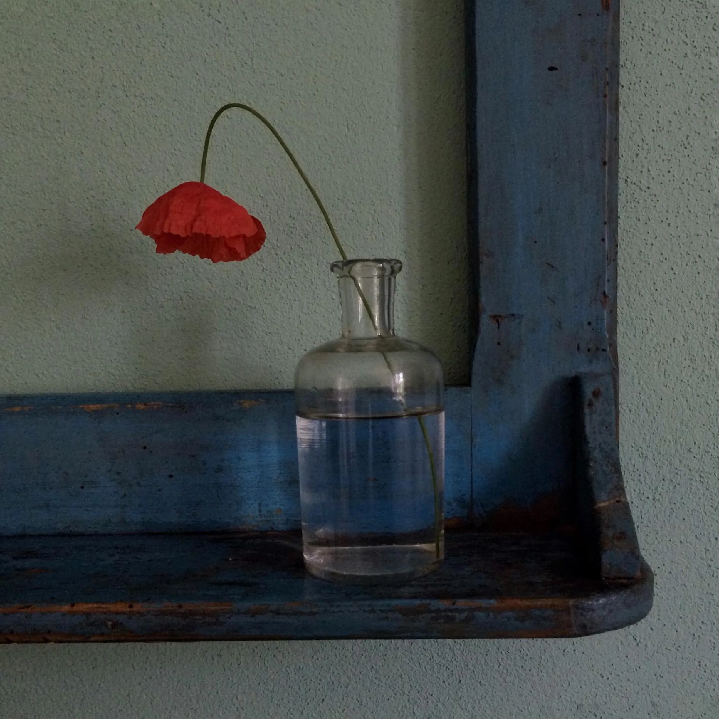 Communal lounge/ TV room in I Calleri Garden and Rooms