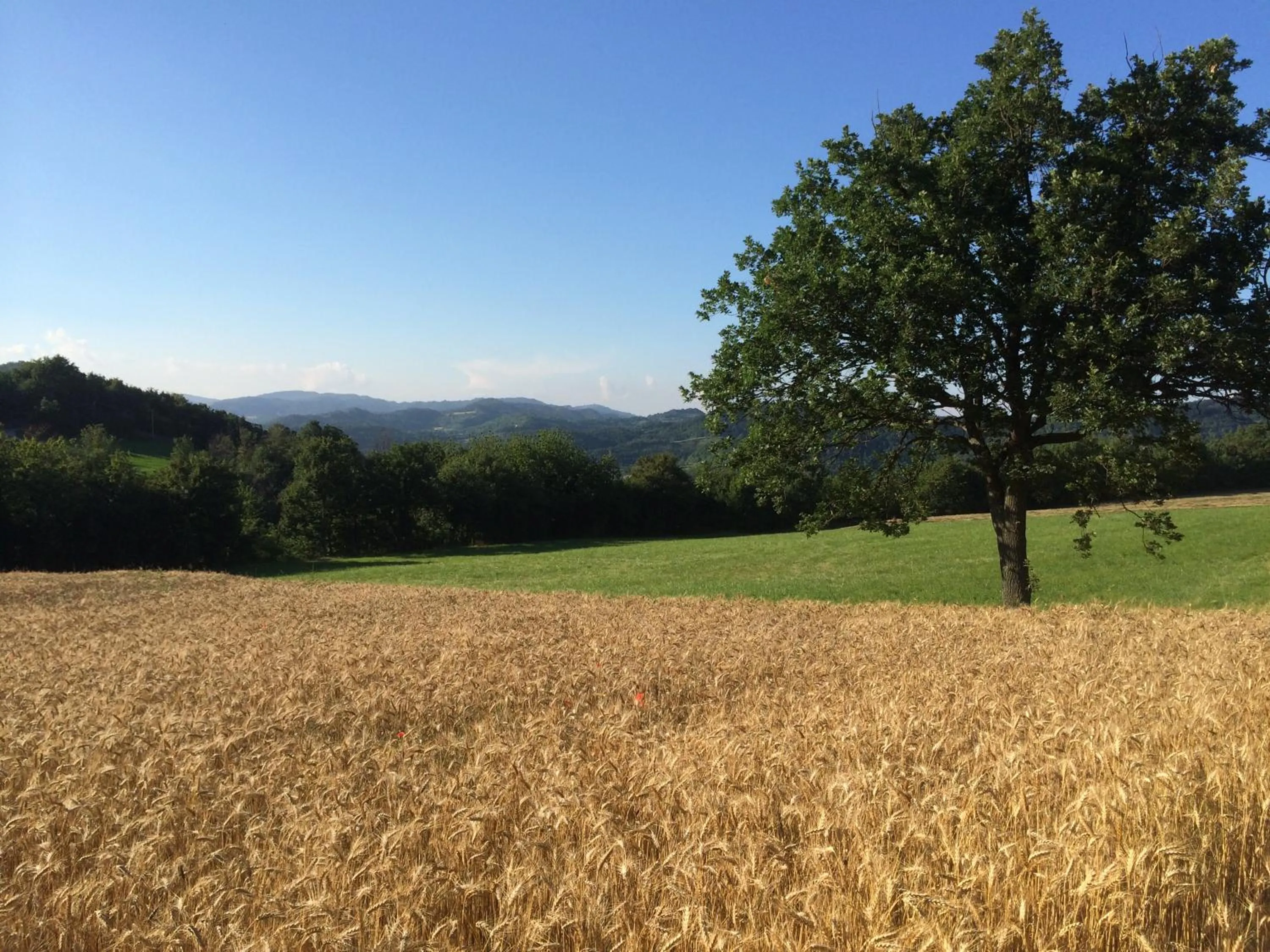 Day in I Calleri Garden and Rooms