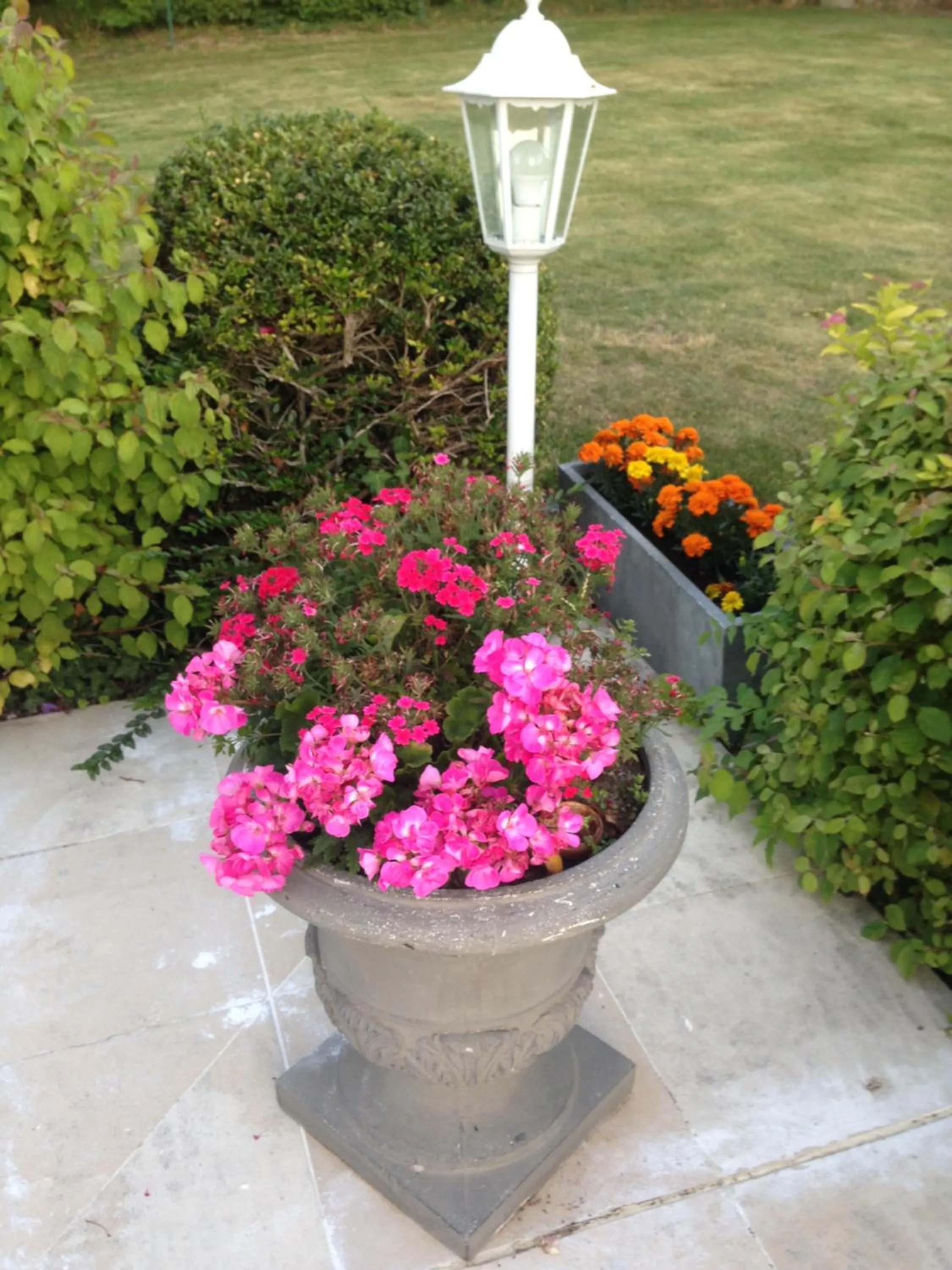 Chambres d'hôtes Le Bignon dans les Alpes Mancelles