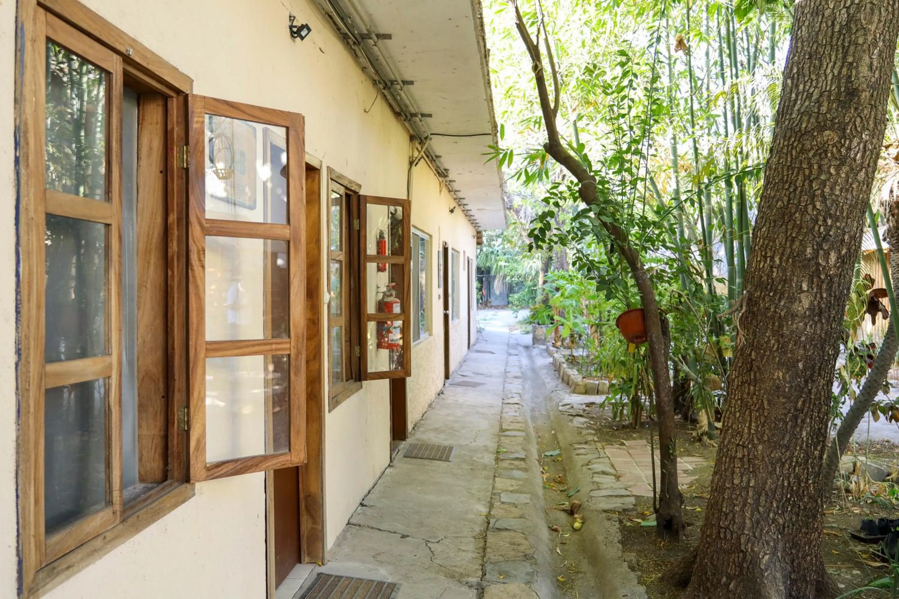 Garden in Eco Hotel Casa Kima