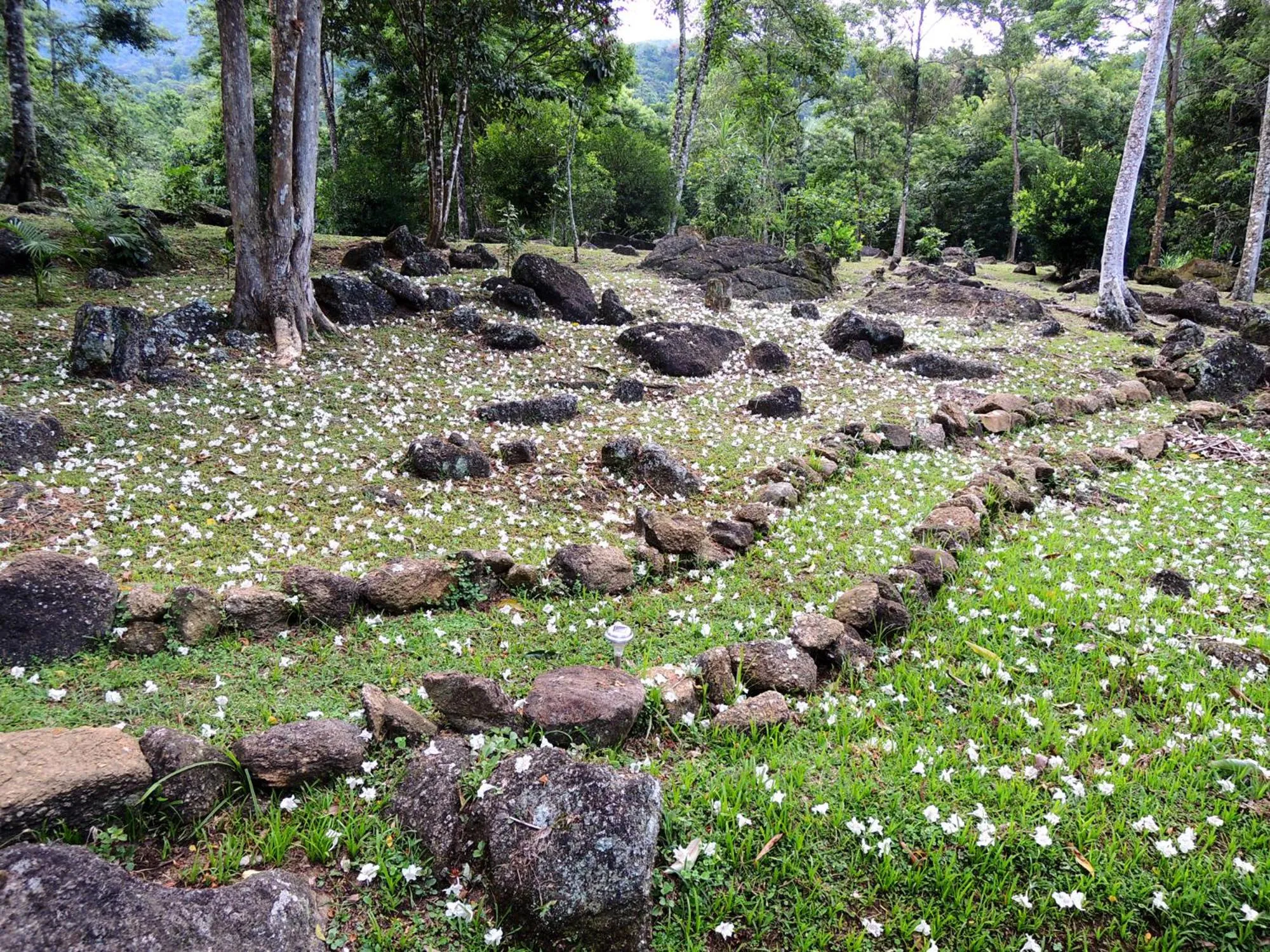 Garden in Sitio Namaste Paraty