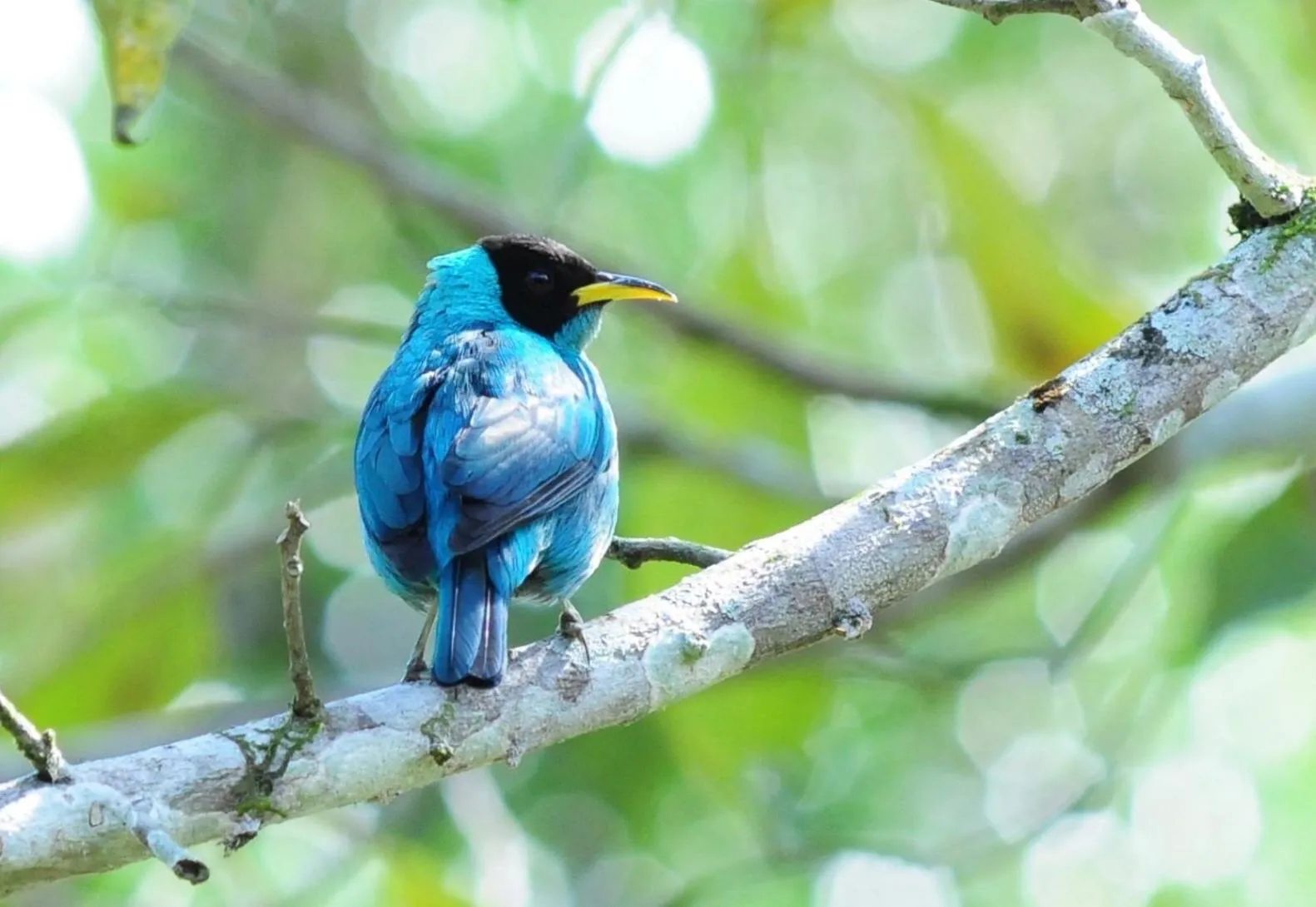 Natural landscape in Sitio Namaste Paraty