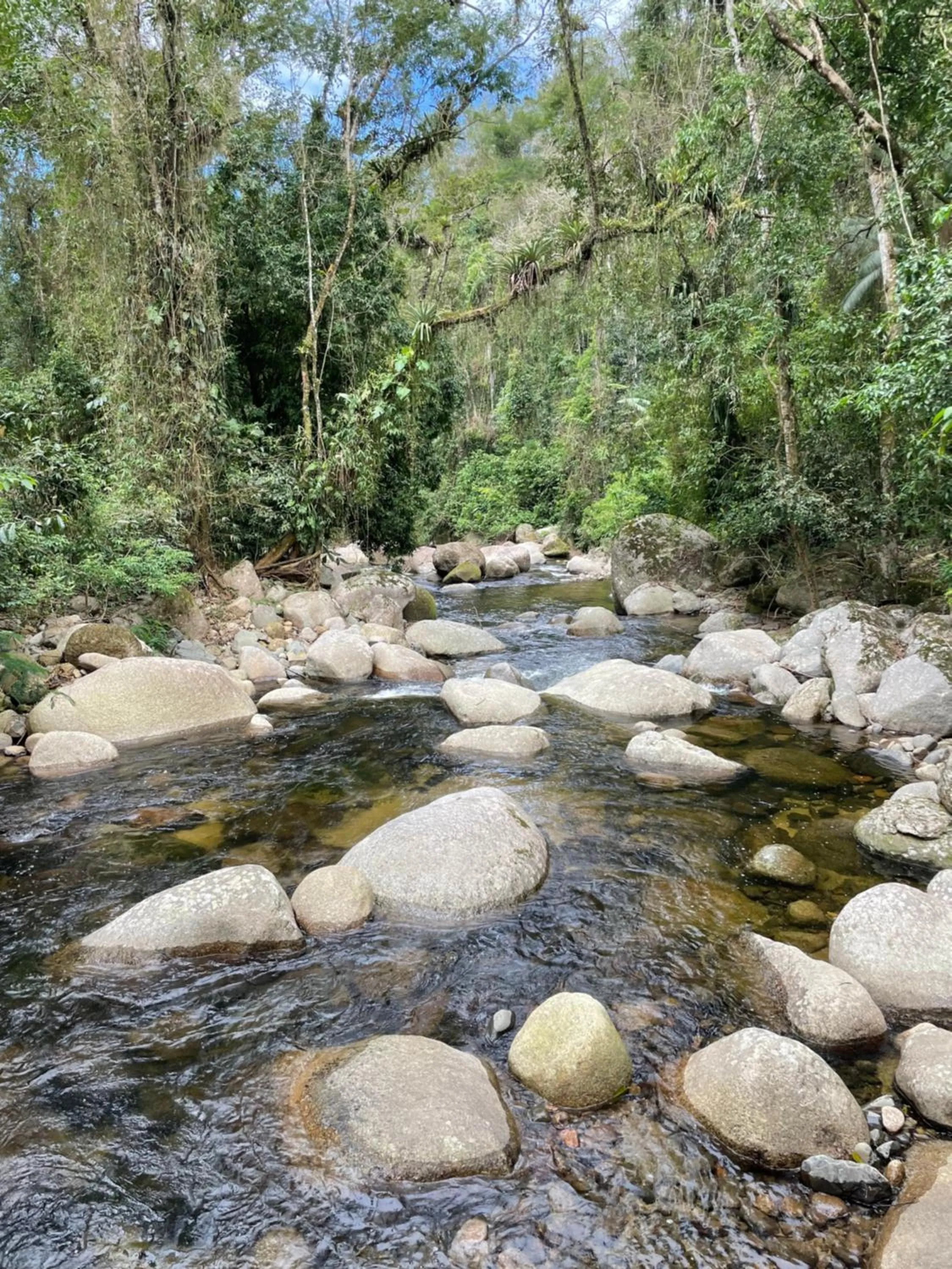 Natural landscape in Sitio Namaste Paraty
