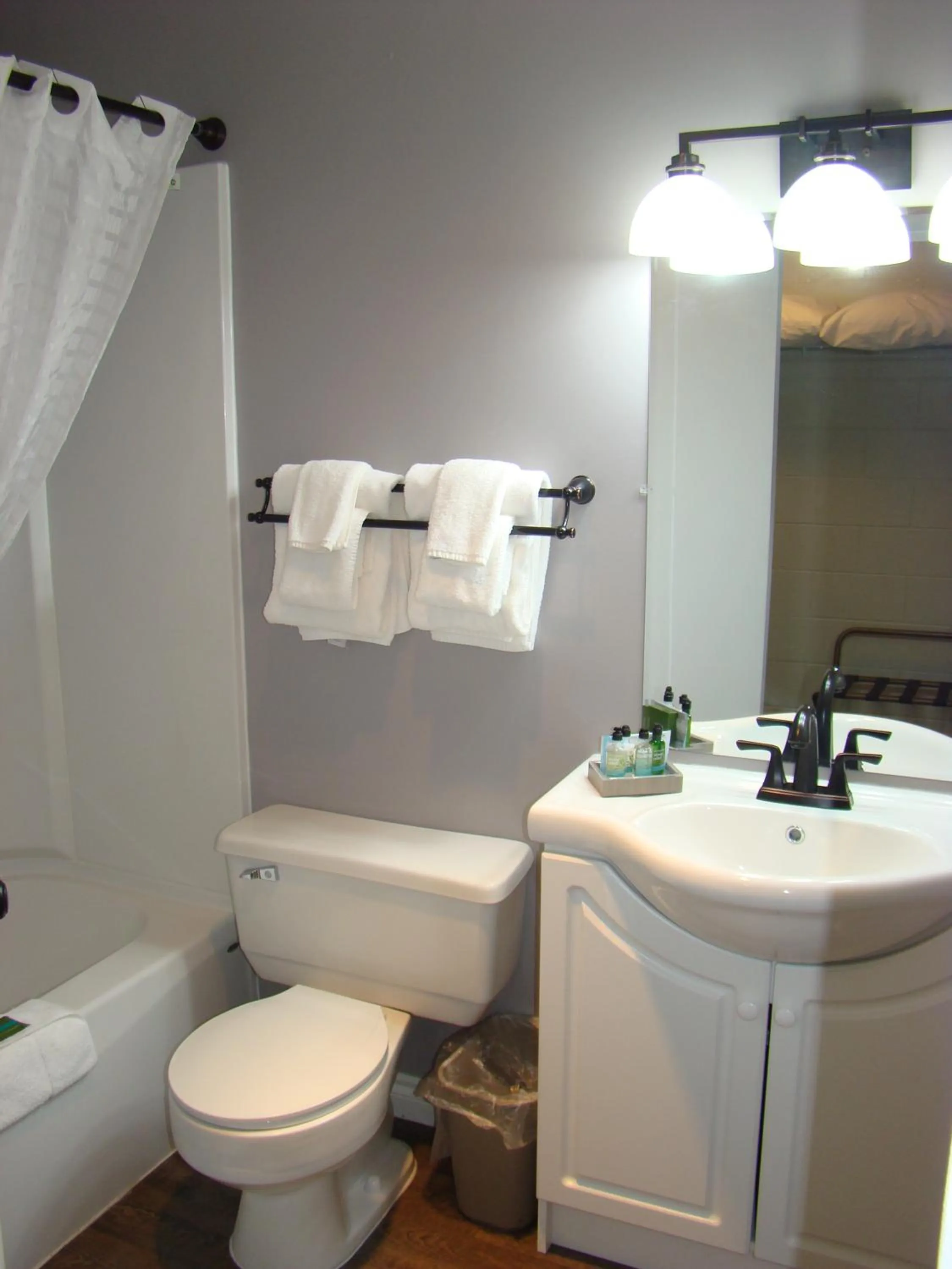 Bathroom in Paddock Inn