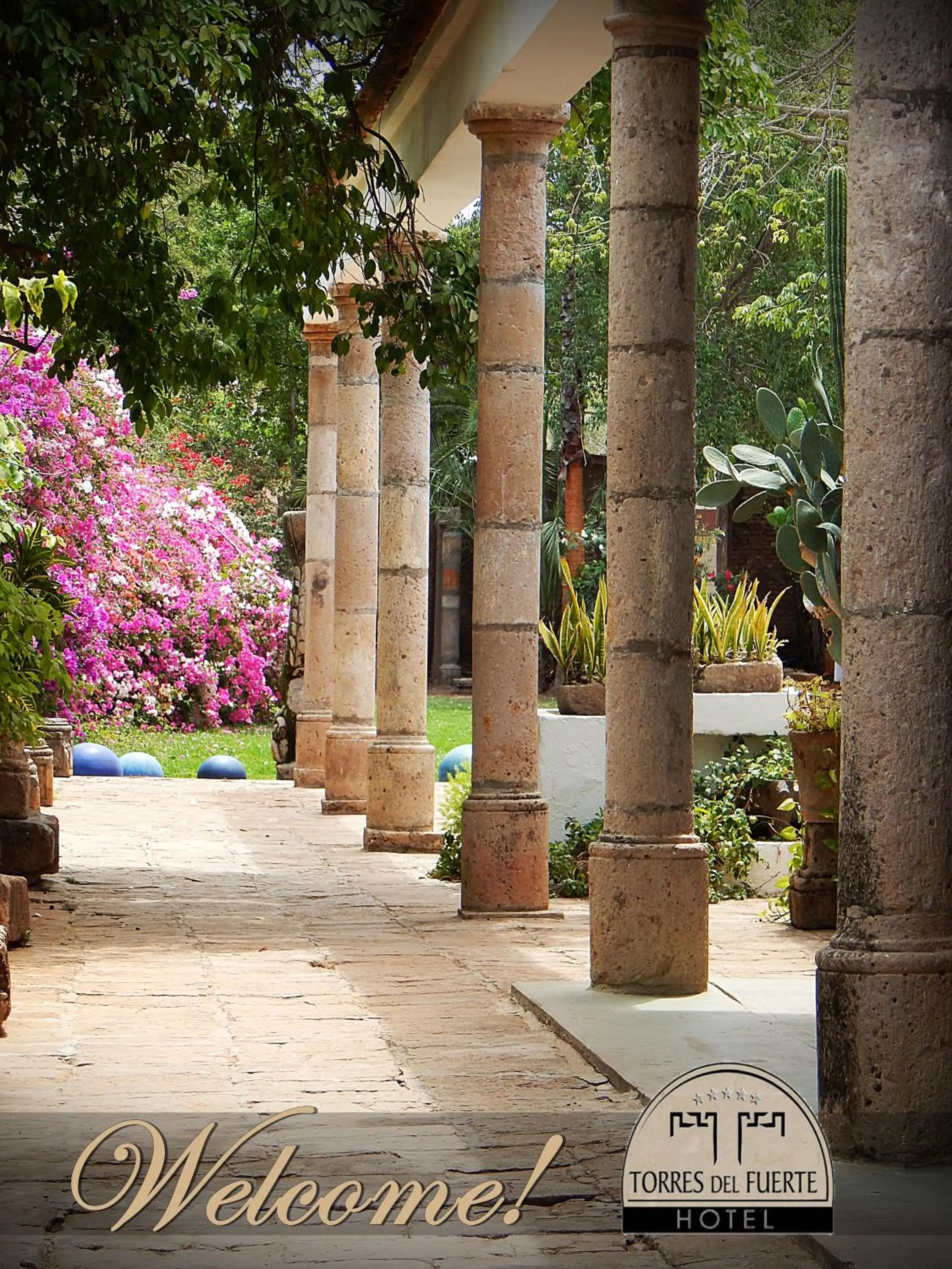 Garden in Hotel Torres Del Fuerte