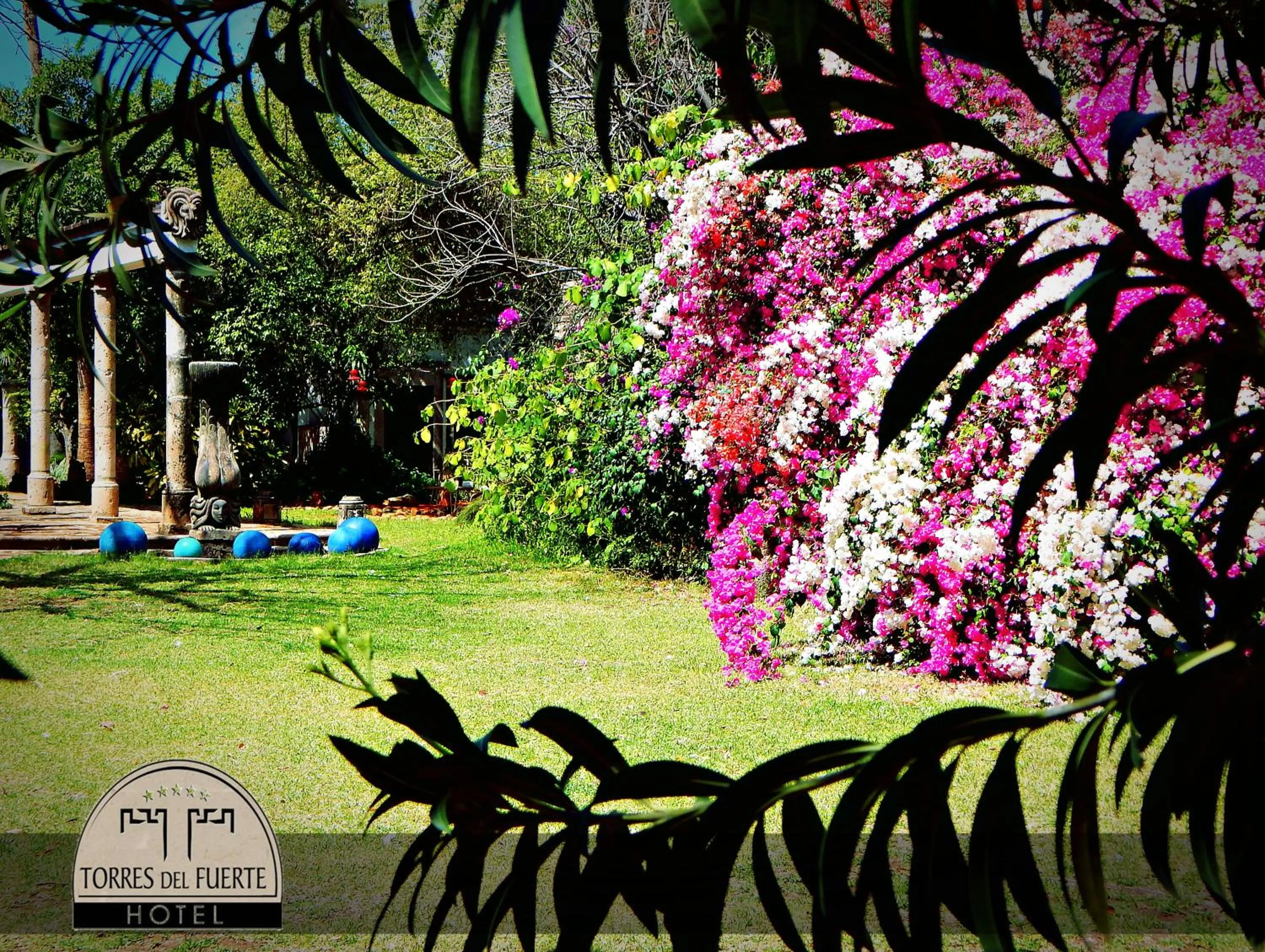 Garden in Hotel Torres Del Fuerte