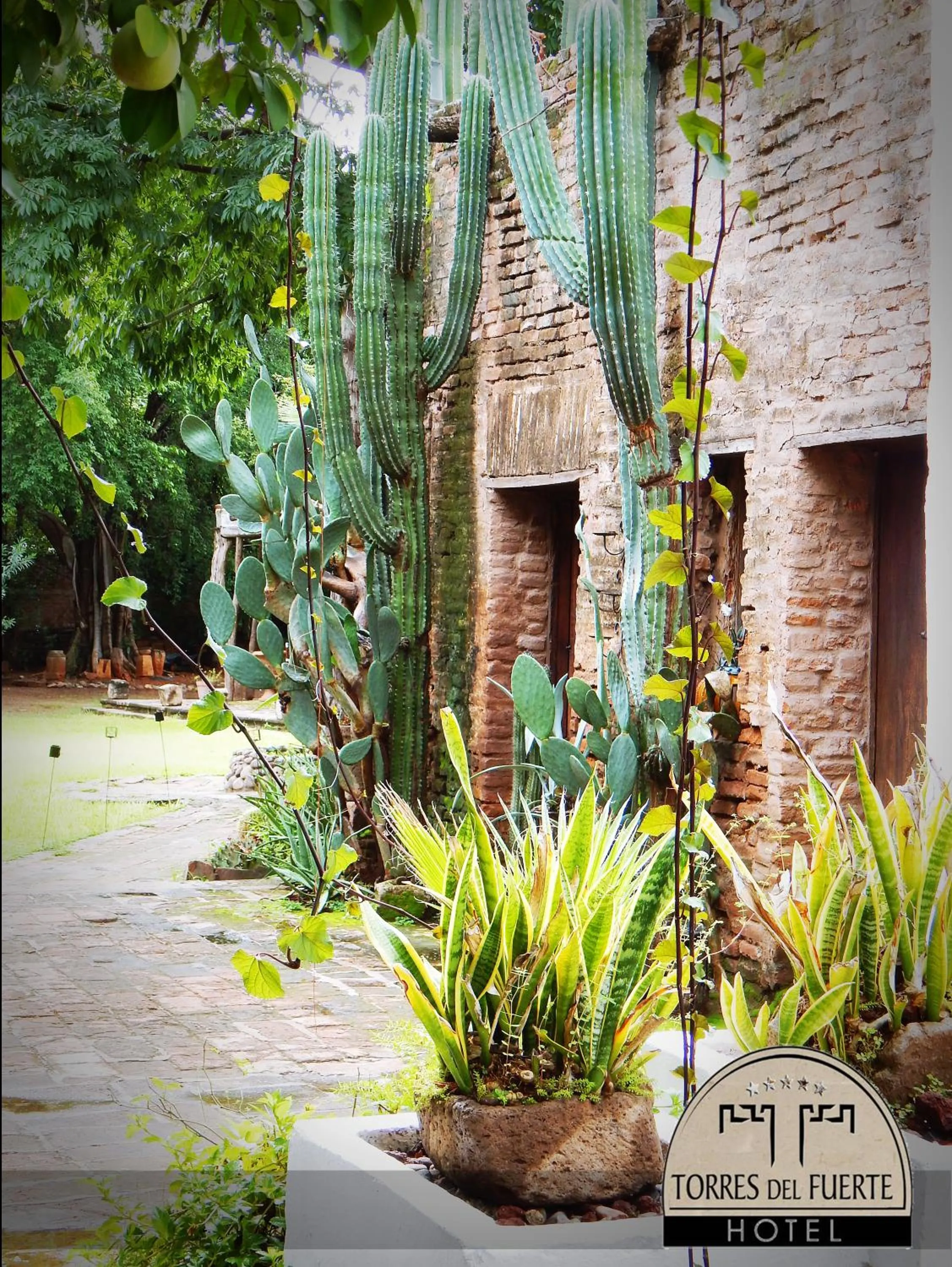Garden in Hotel Torres Del Fuerte