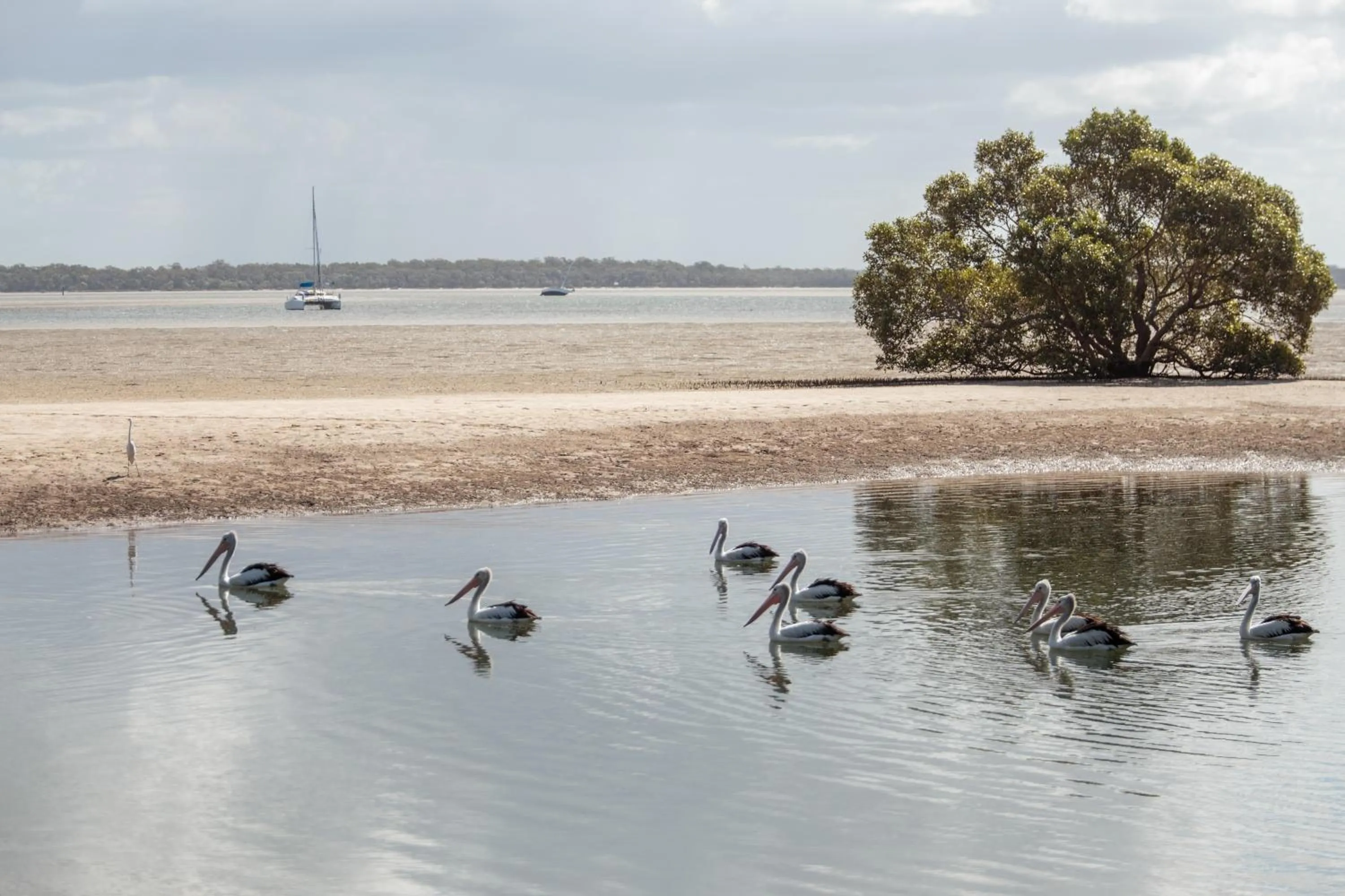 Beach in BIG4 Rainbow Beach Holiday Park