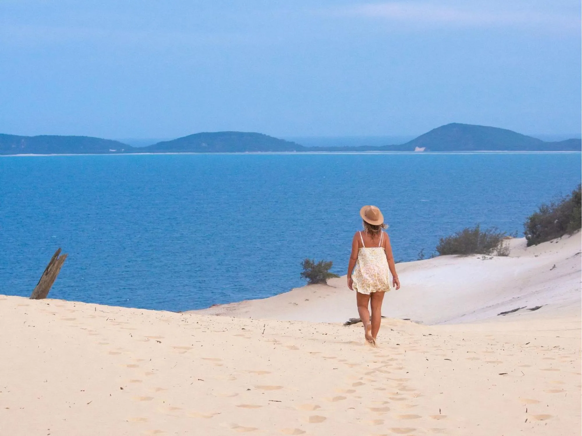 Natural landscape in BIG4 Rainbow Beach Holiday Park