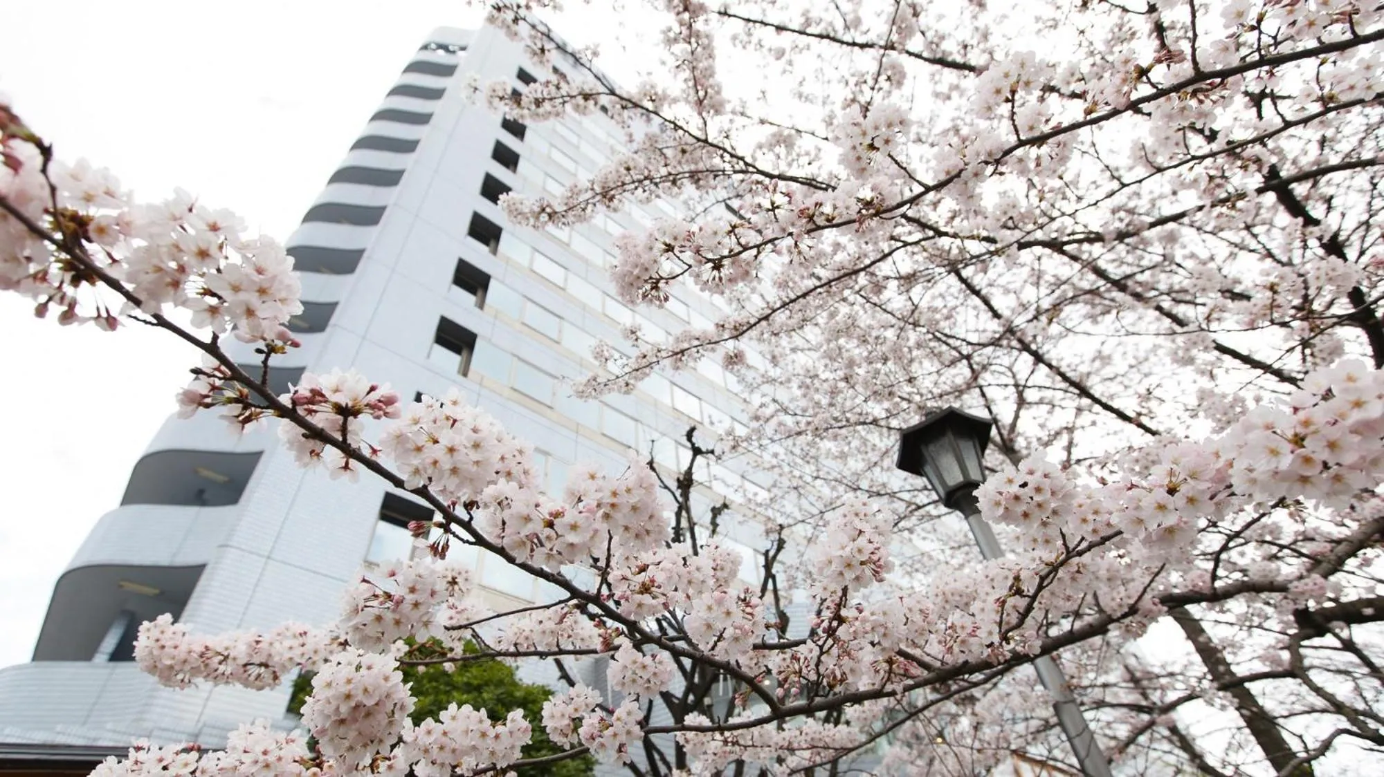 Property building in Day Nice Hotel Tokyo